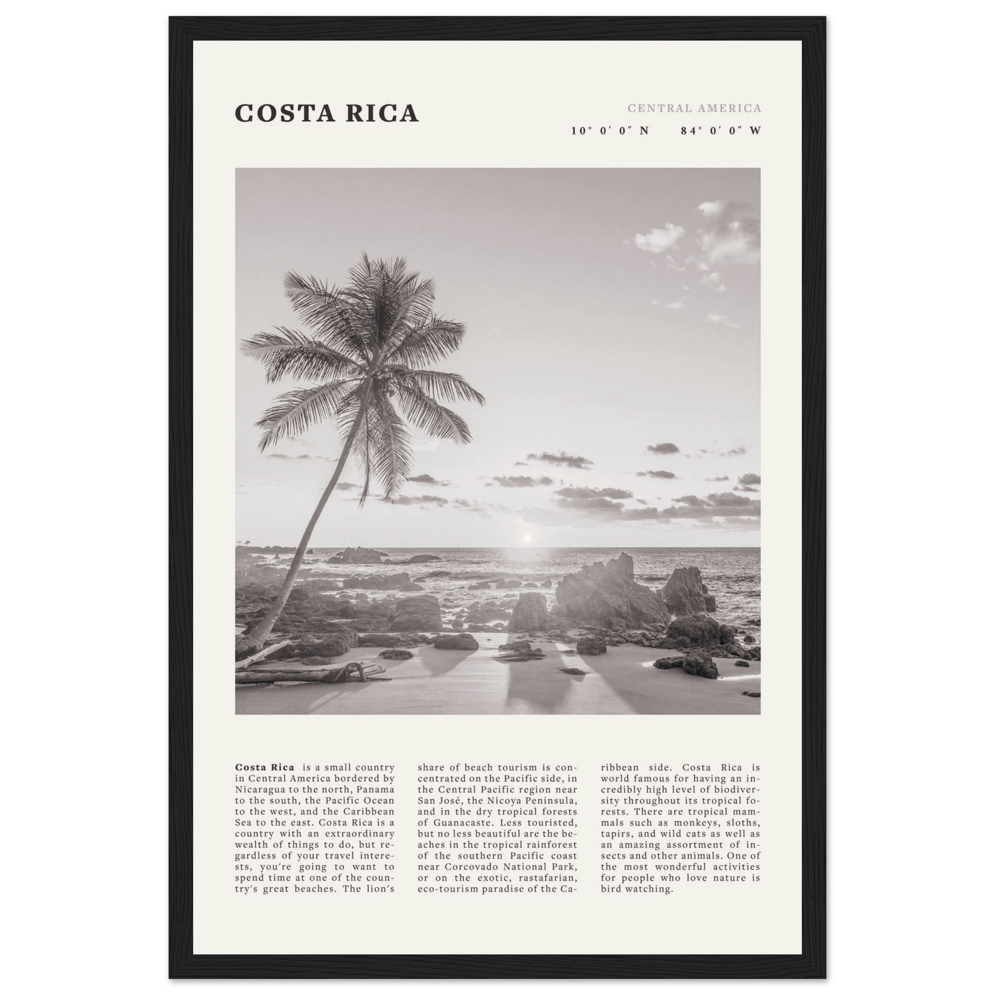 Costa Rica Poster | Black & White Palm Tree Beach Wall Art | Travel Print Decor - Evergreen Posters