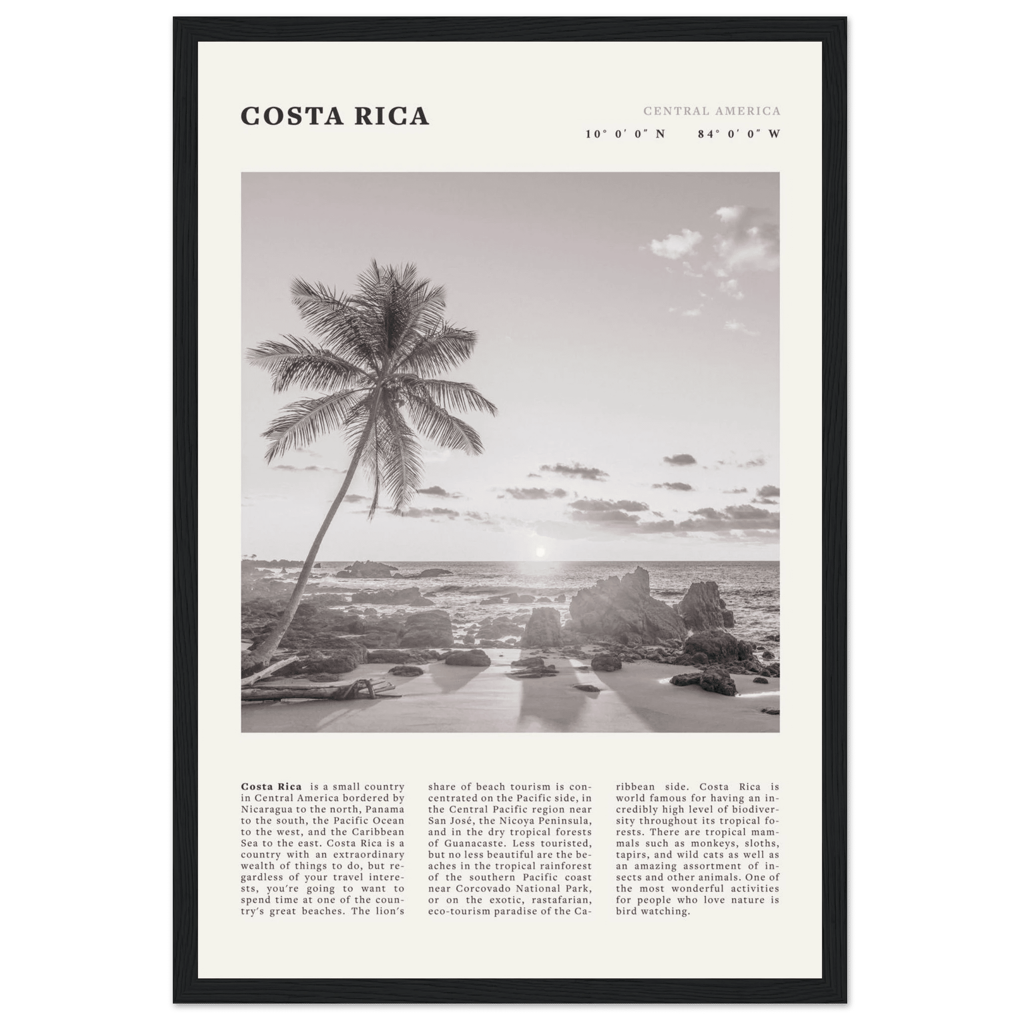 Costa Rica Poster | Black & White Palm Tree Beach Wall Art | Travel Print Decor - Evergreen Posters