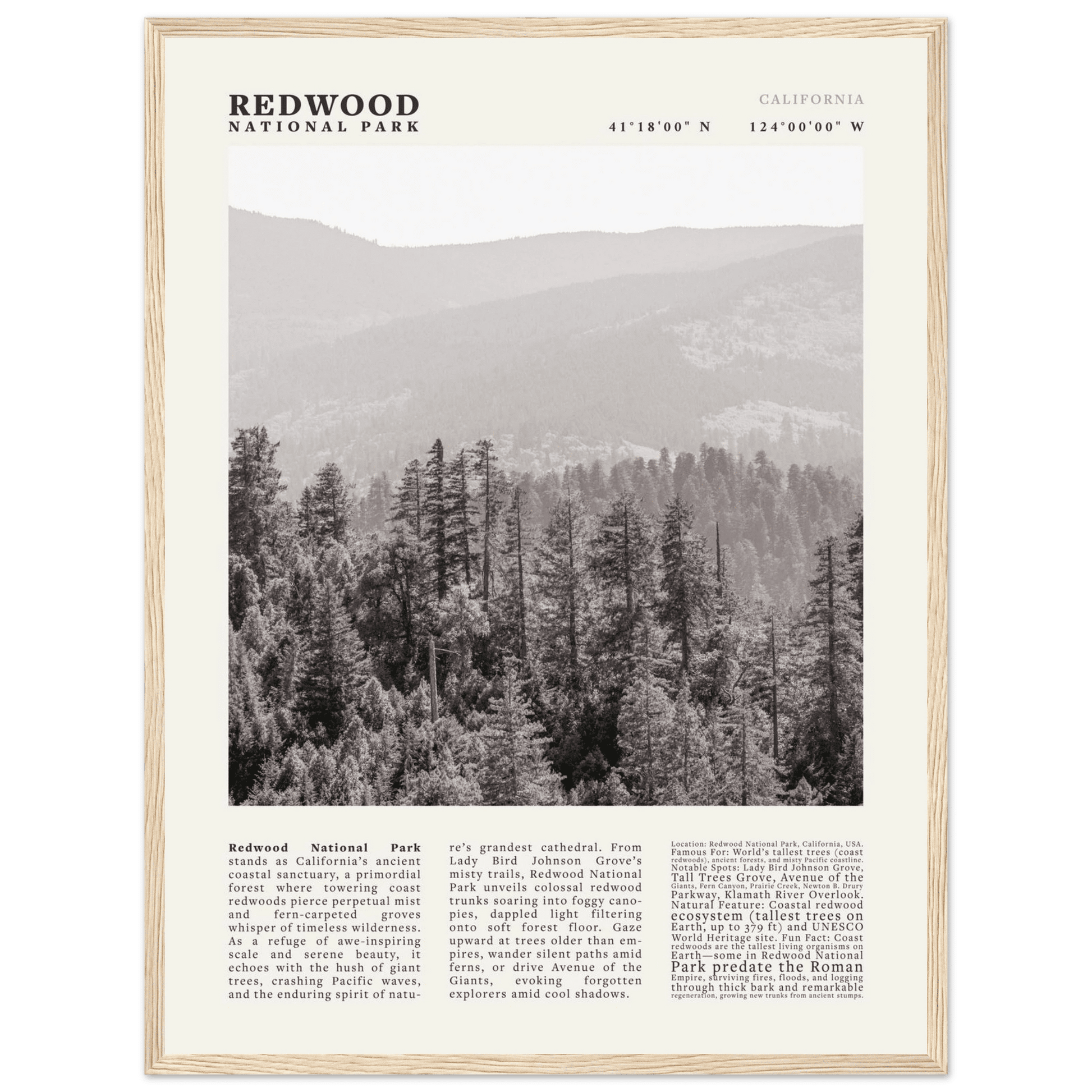 Redwood National Park Poster Black and White – Vintage Foggy Redwood Forest Print - Evergreen Posters