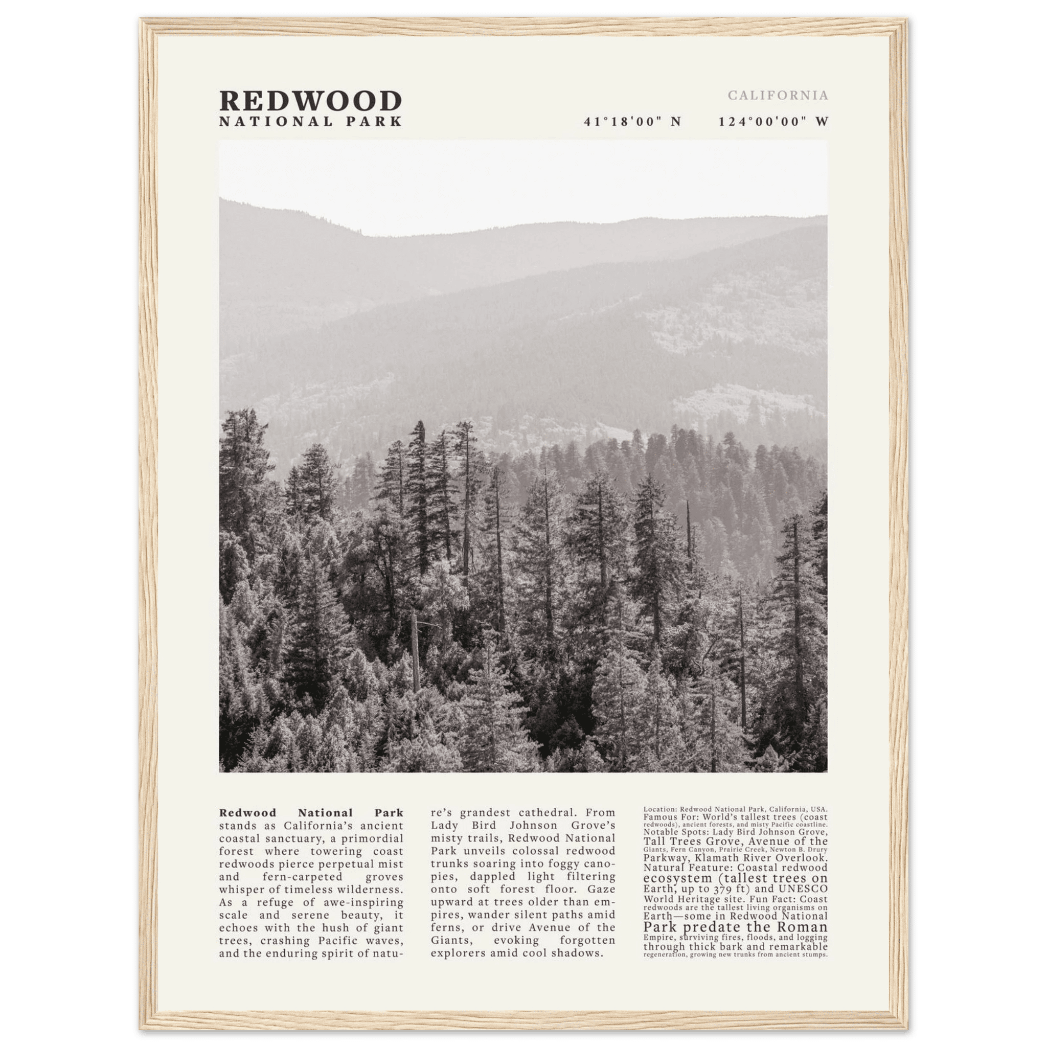 Redwood National Park Poster Black and White – Vintage Foggy Redwood Forest Print - Evergreen Posters