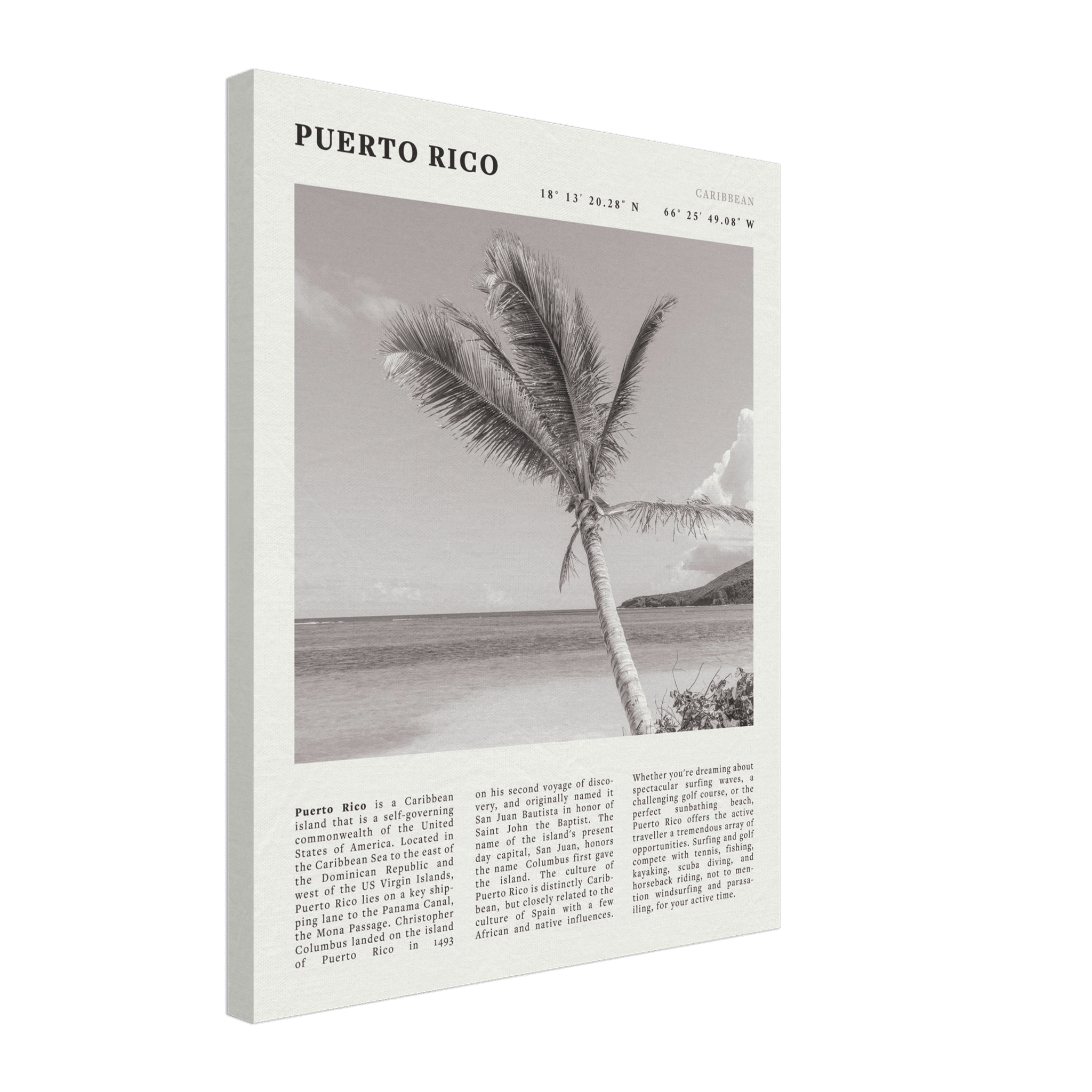 Puerto Rico Poster Black and White – Vintage Caribbean Palm Beach Print (Digital & Printed Options) - Evergreen Posters