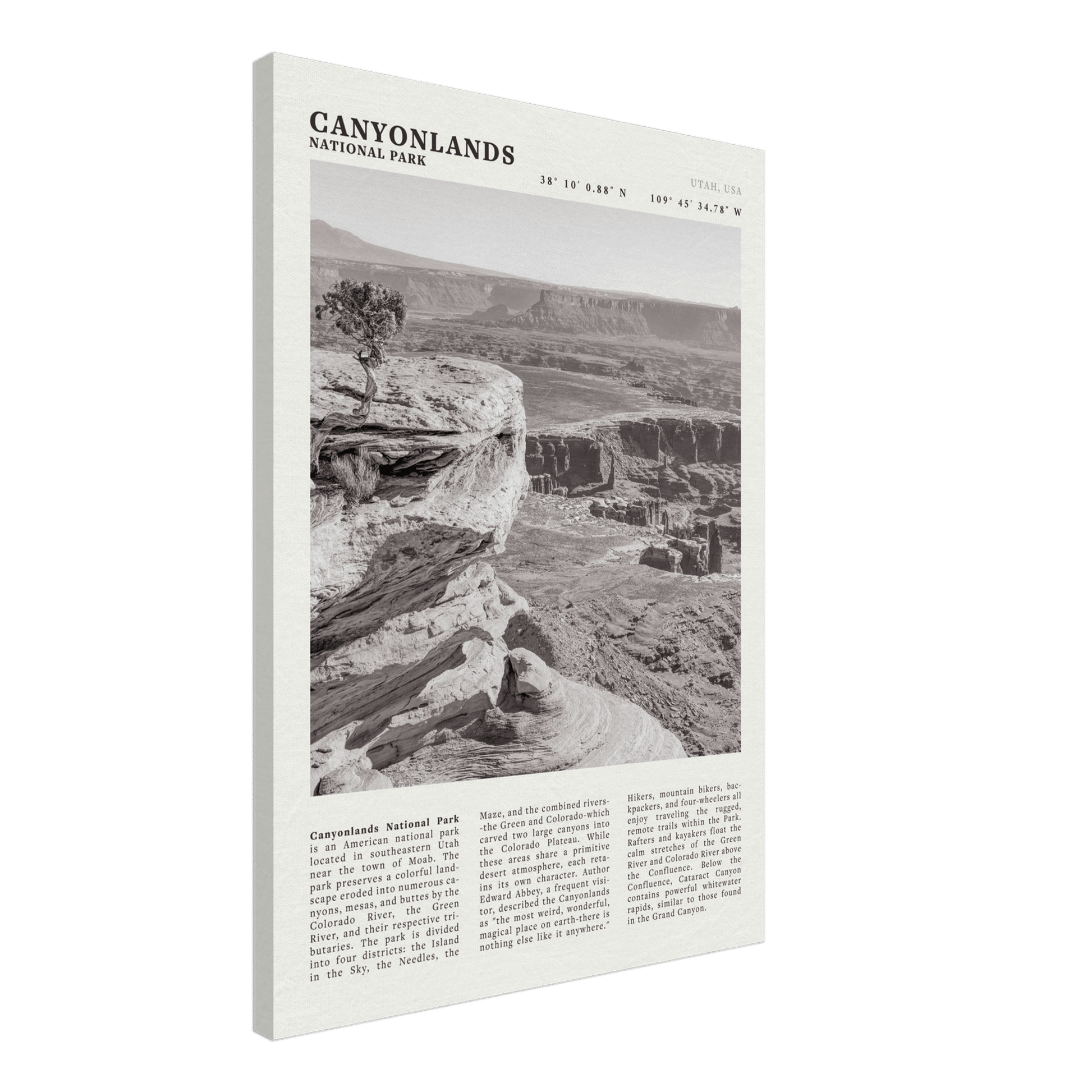 Canyonlands National Park Poster | Black & White Utah Wall Art | Canyon Travel Print - Evergreen Posters