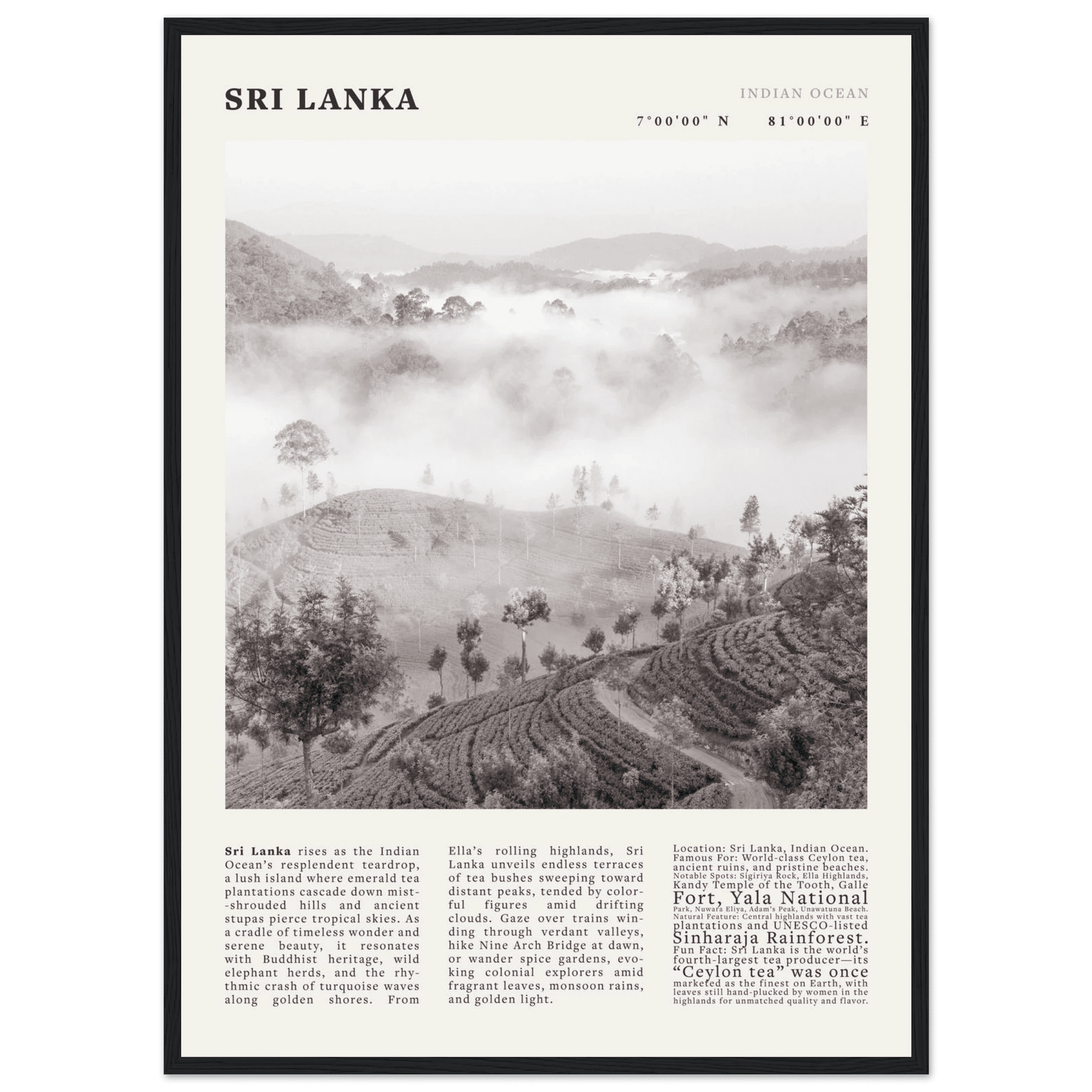 Sri Lanka Poster Black and White – Vintage Ceylon Tea Plantation Print (Digital & Printed Options) - Evergreen Posters
