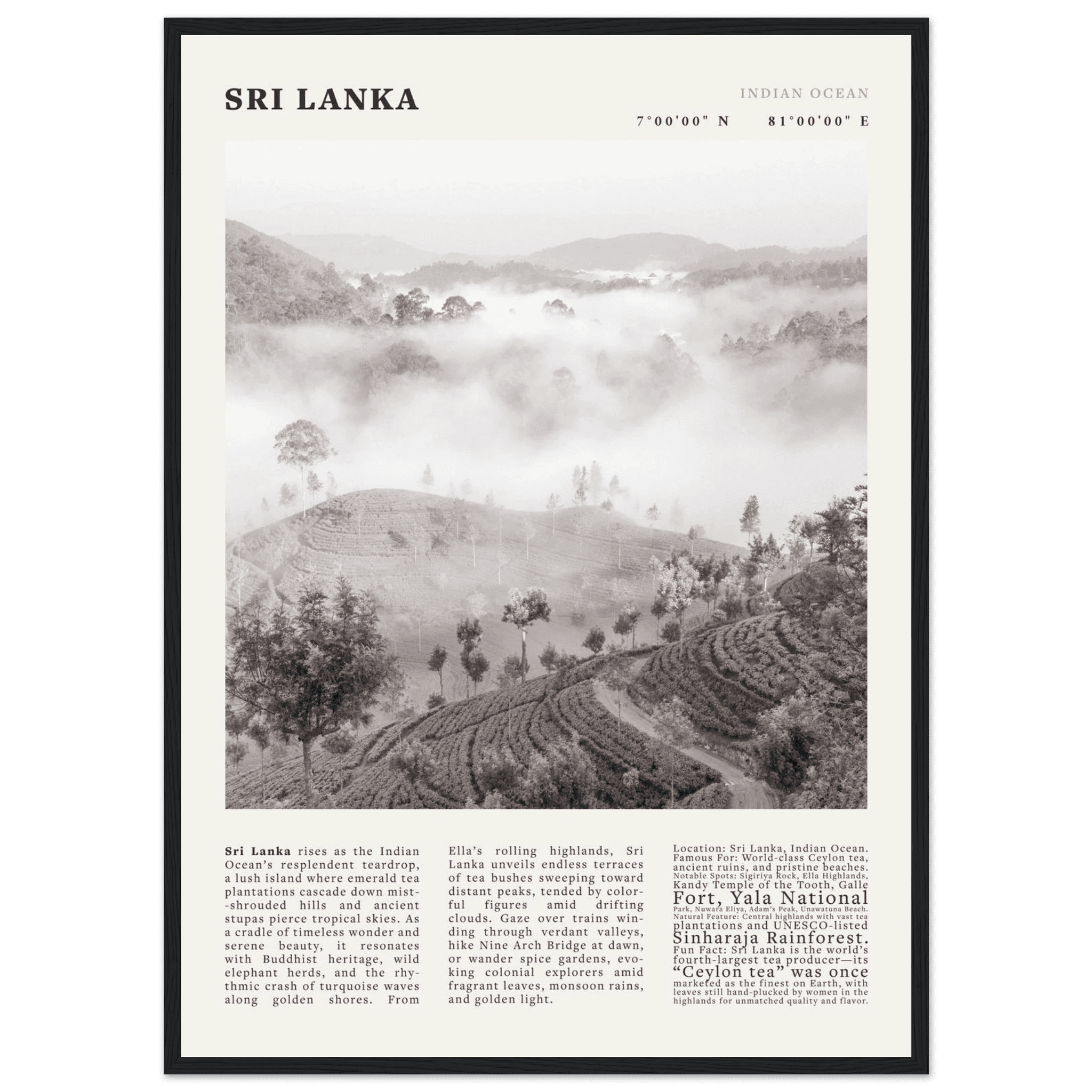 Sri Lanka Poster Black and White – Vintage Ceylon Tea Plantation Print (Digital & Printed Options) - Evergreen Posters