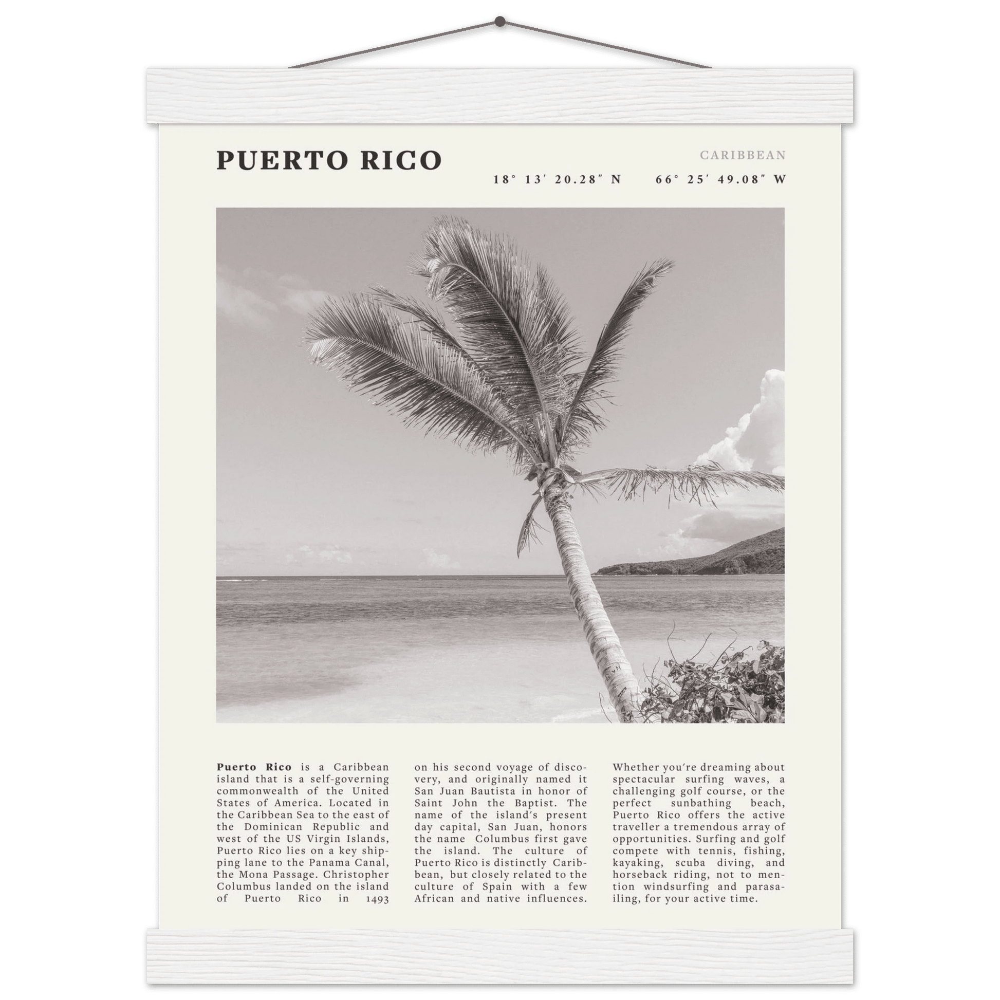 Puerto Rico Poster Black and White – Vintage Caribbean Palm Beach Print (Digital & Printed Options) - Evergreen Posters