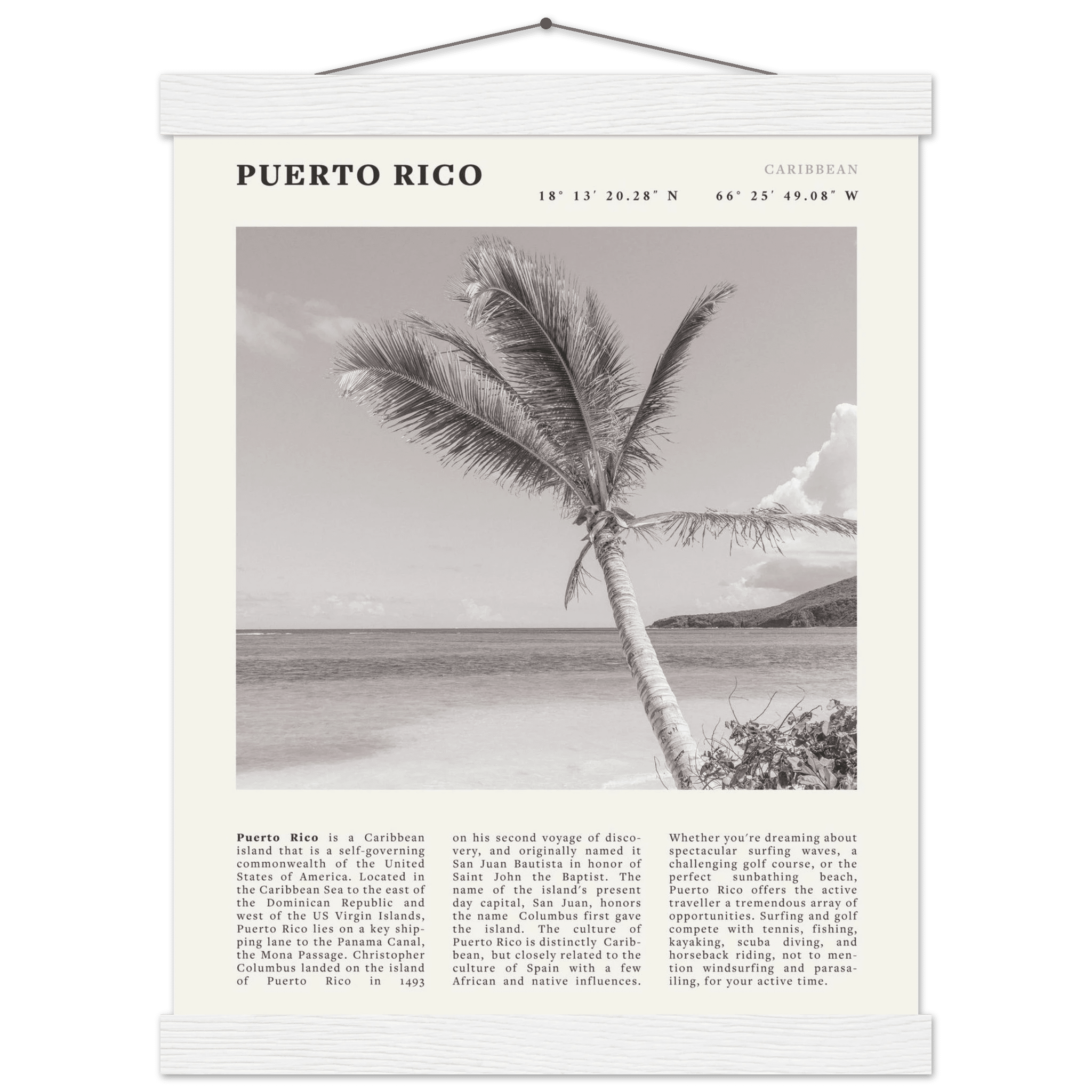 Puerto Rico Poster Black and White – Vintage Caribbean Palm Beach Print (Digital & Printed Options) - Evergreen Posters