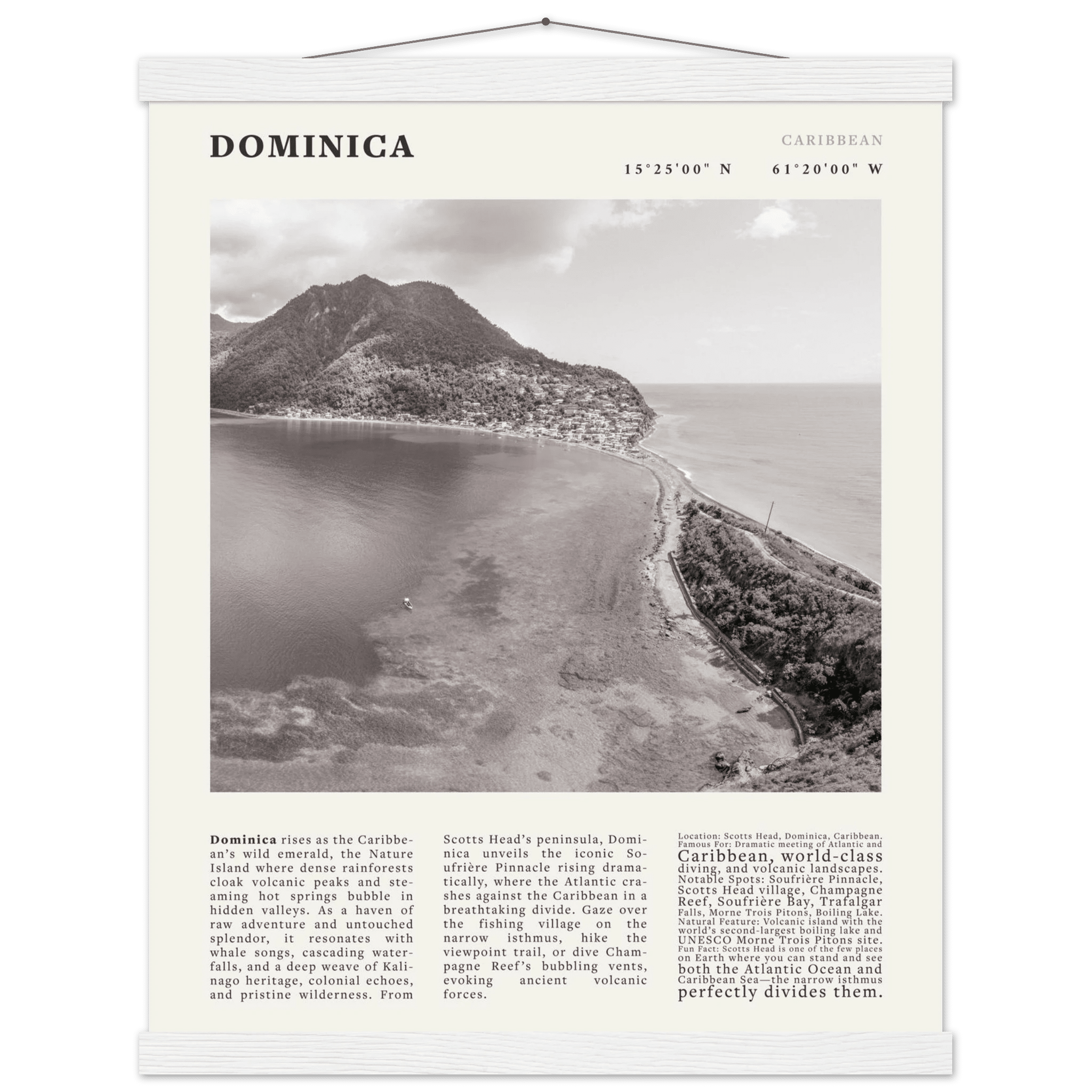 Dominica Poster Black and White – Vintage Caribbean Rainforest Island Print (Digital & Printed Options) - Evergreen Posters