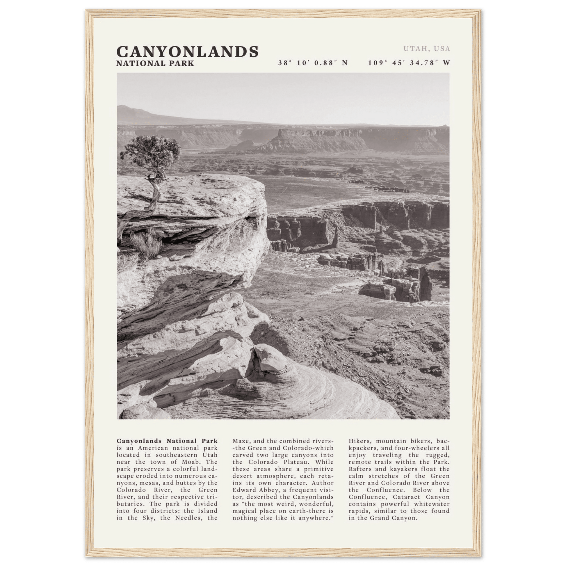 Canyonlands National Park Poster | Black & White Utah Wall Art | Canyon Travel Print - Evergreen Posters