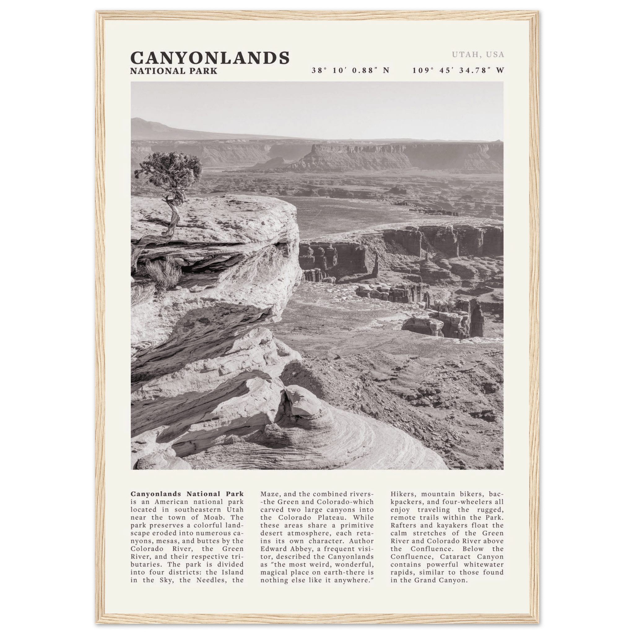 Canyonlands National Park Poster | Black & White Utah Wall Art | Canyon Travel Print - Evergreen Posters