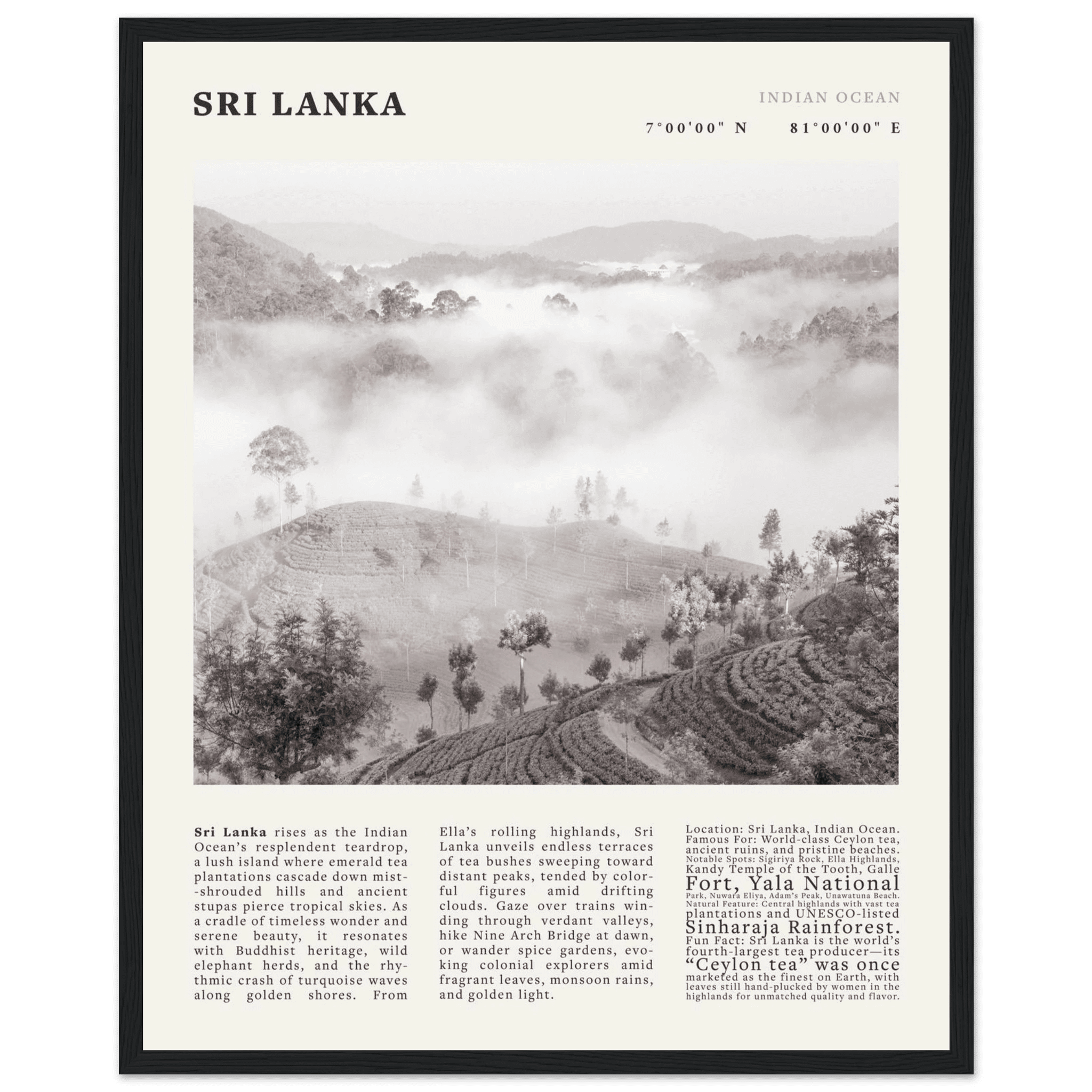 Sri Lanka Poster Black and White – Vintage Ceylon Tea Plantation Print (Digital & Printed Options) - Evergreen Posters