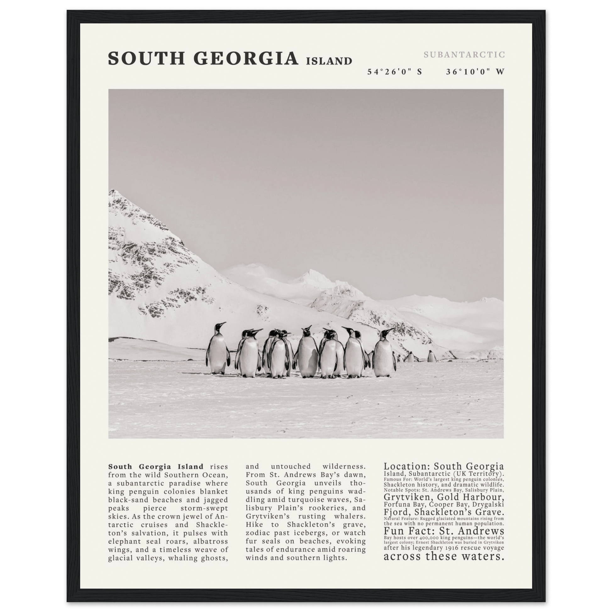 South Georgia Island Black and White Vintage Poster - Evergreen Posters
