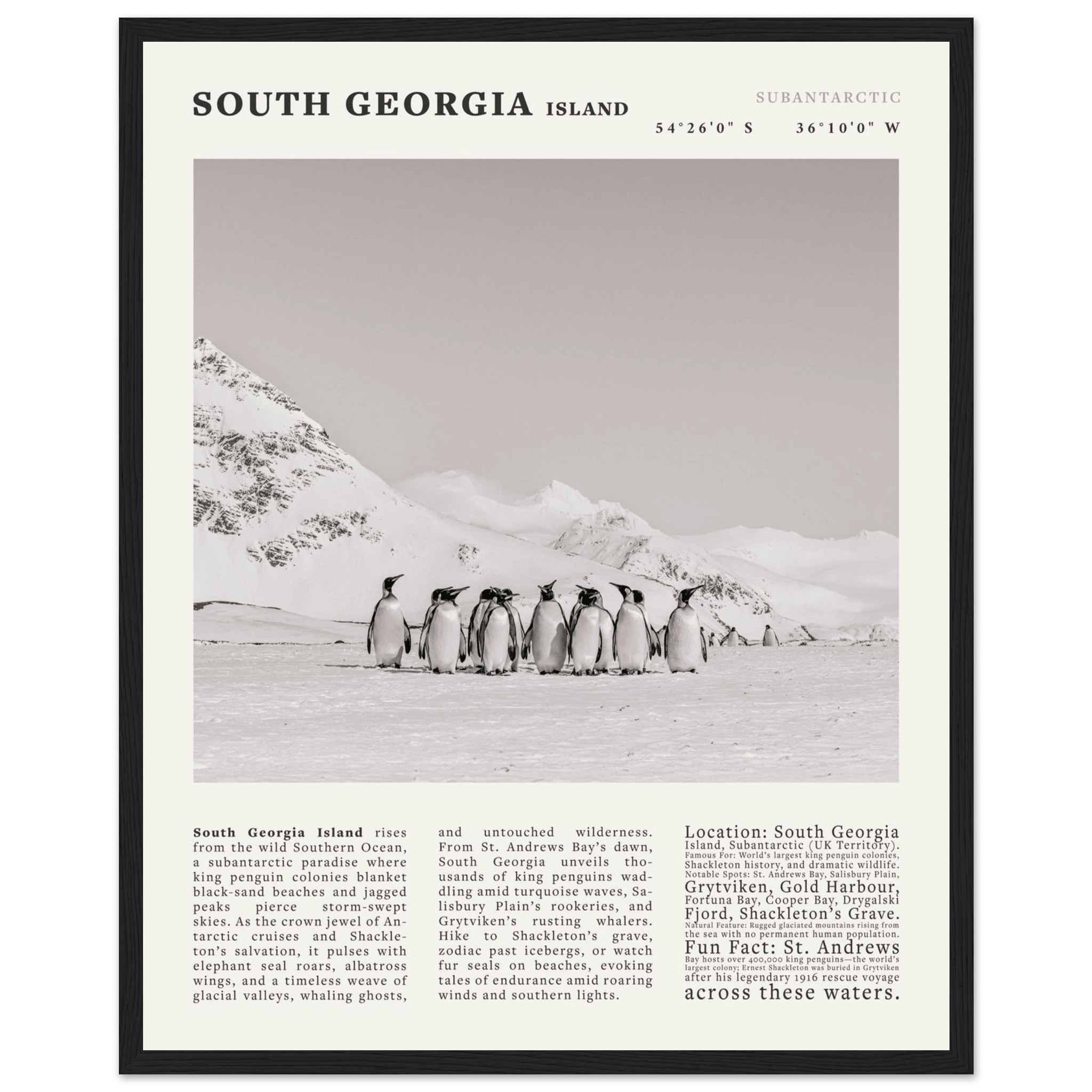 South Georgia Island Black and White Vintage Poster - Evergreen Posters