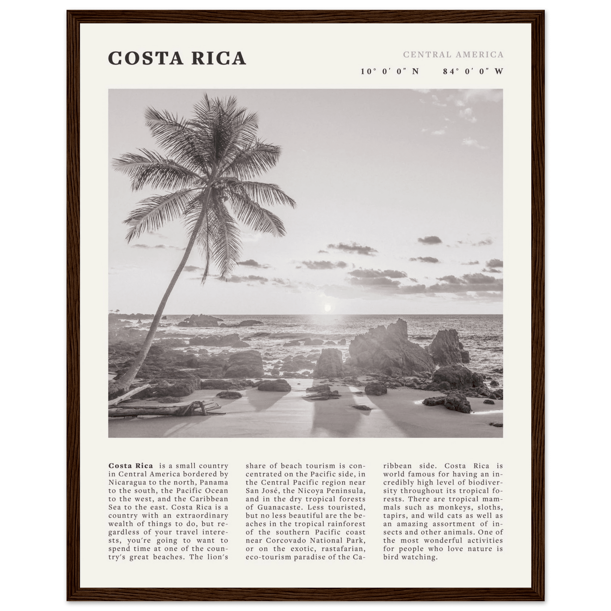 Costa Rica Poster | Black & White Palm Tree Beach Wall Art | Travel Print Decor - Evergreen Posters