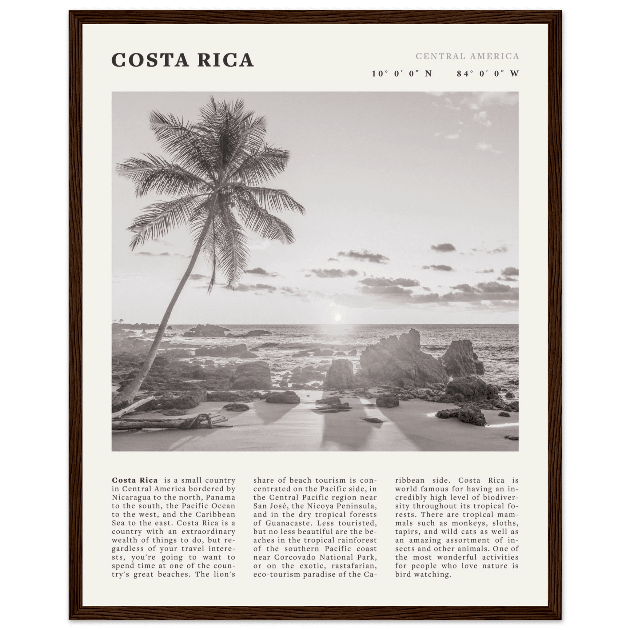 Costa Rica Poster | Black & White Palm Tree Beach Wall Art | Travel Print Decor - Evergreen Posters
