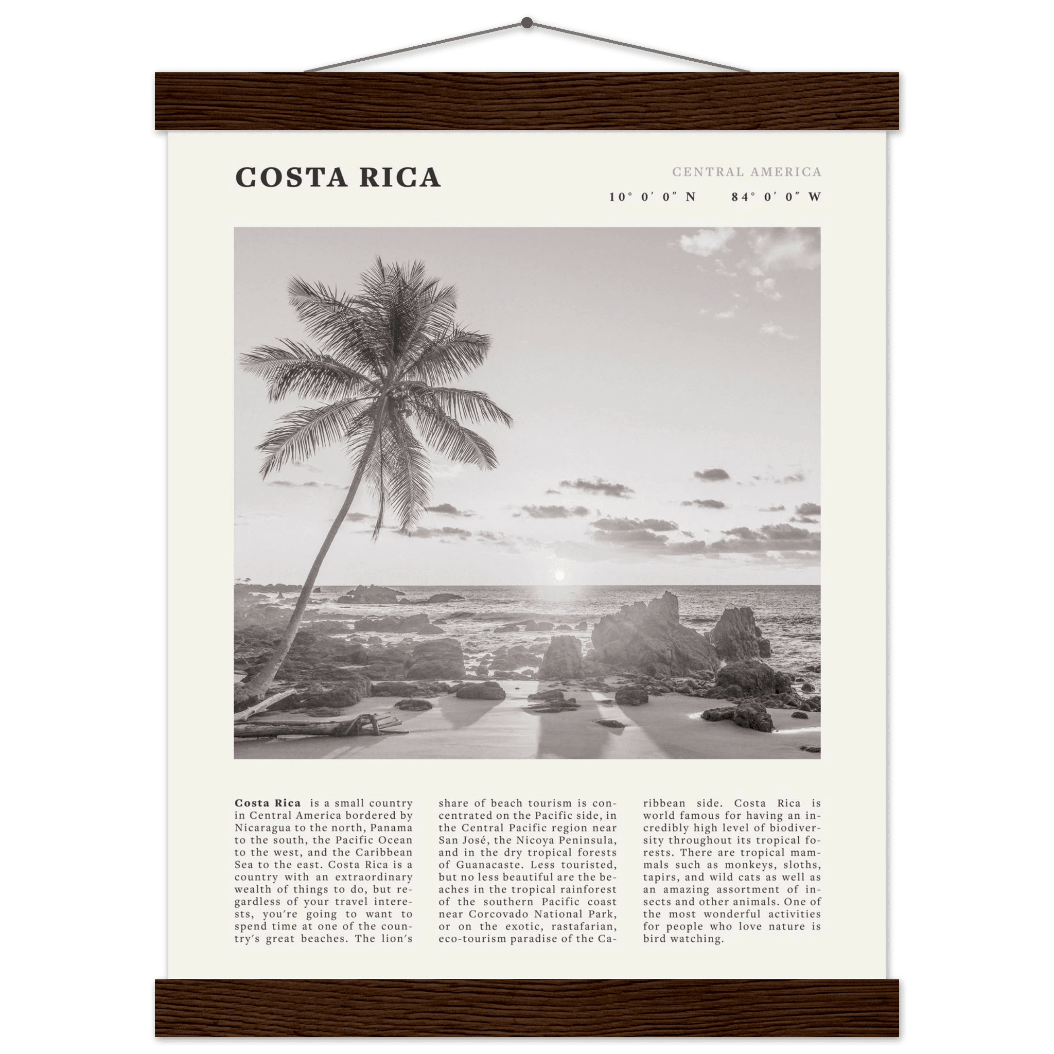 Costa Rica Poster | Black & White Palm Tree Beach Wall Art | Travel Print Decor - Evergreen Posters