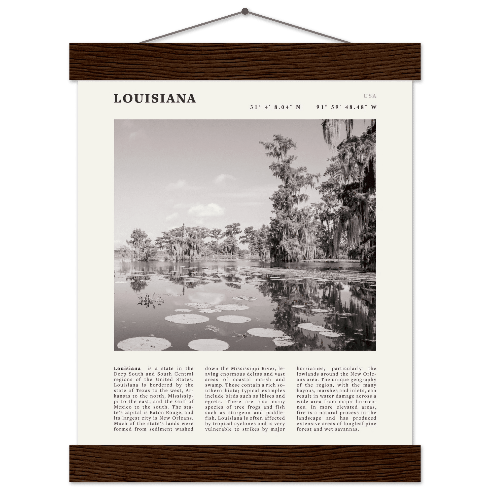 Louisiana Poster | Black & White Bayou Wall Art | Southern USA Travel Print Decor - Evergreen Posters