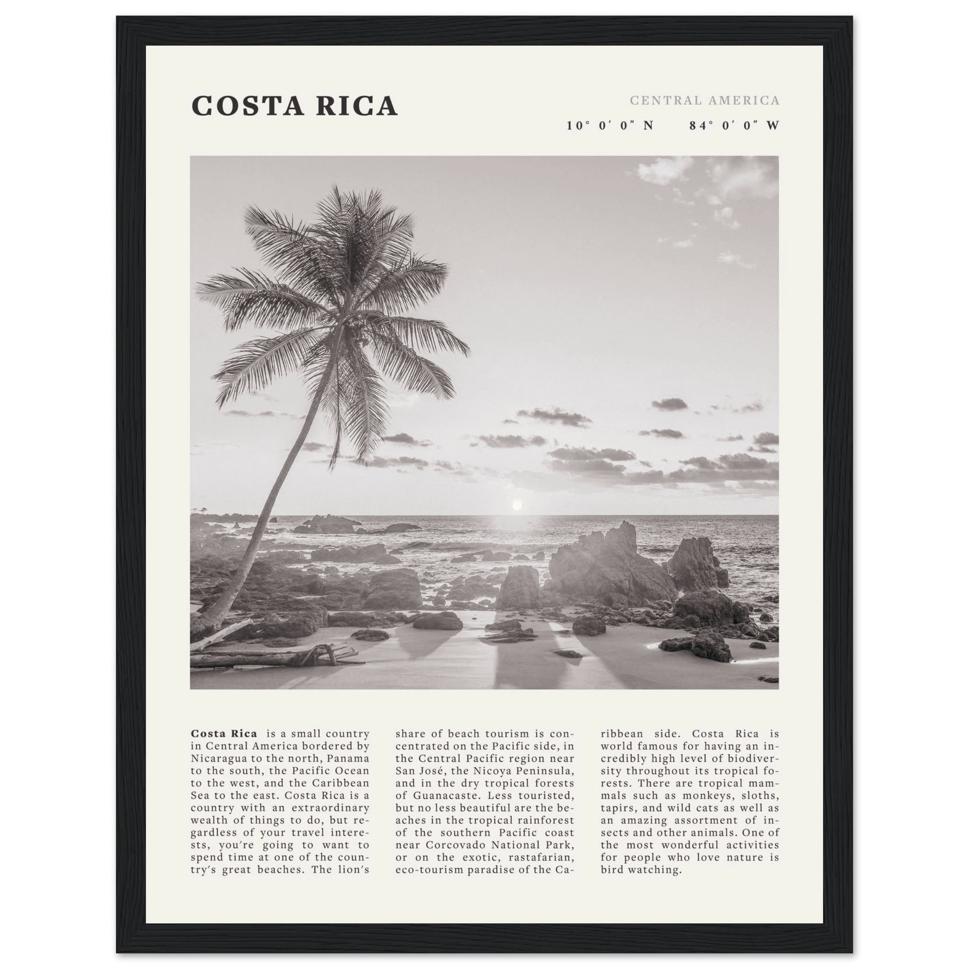 Costa Rica Poster | Black & White Palm Tree Beach Wall Art | Travel Print Decor - Evergreen Posters