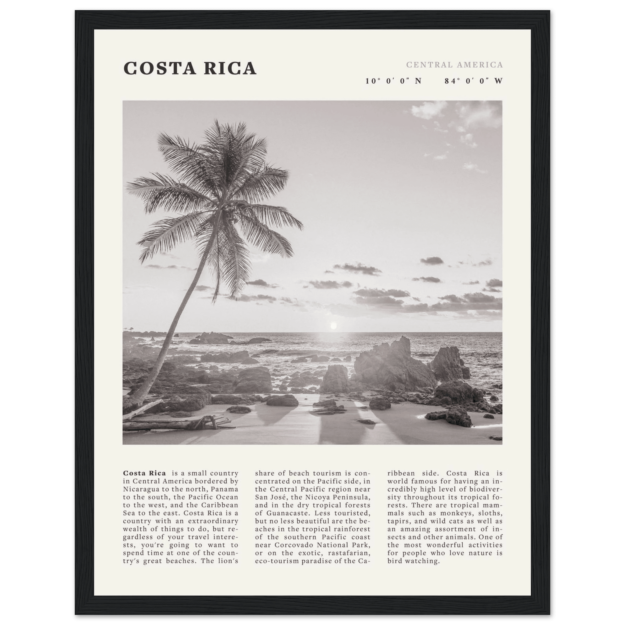 Costa Rica Poster | Black & White Palm Tree Beach Wall Art | Travel Print Decor - Evergreen Posters
