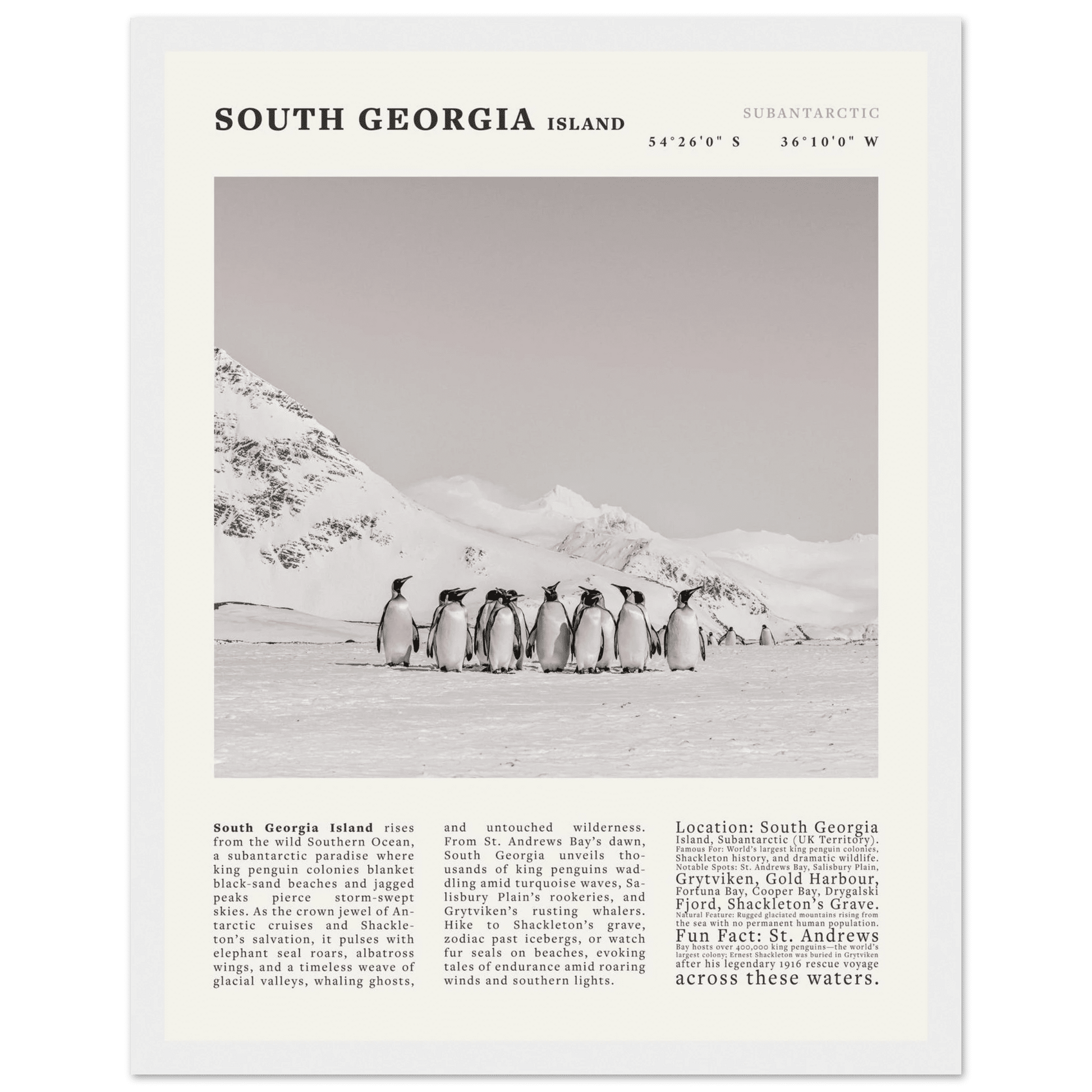 South Georgia Island Black and White Vintage Poster - Evergreen Posters
