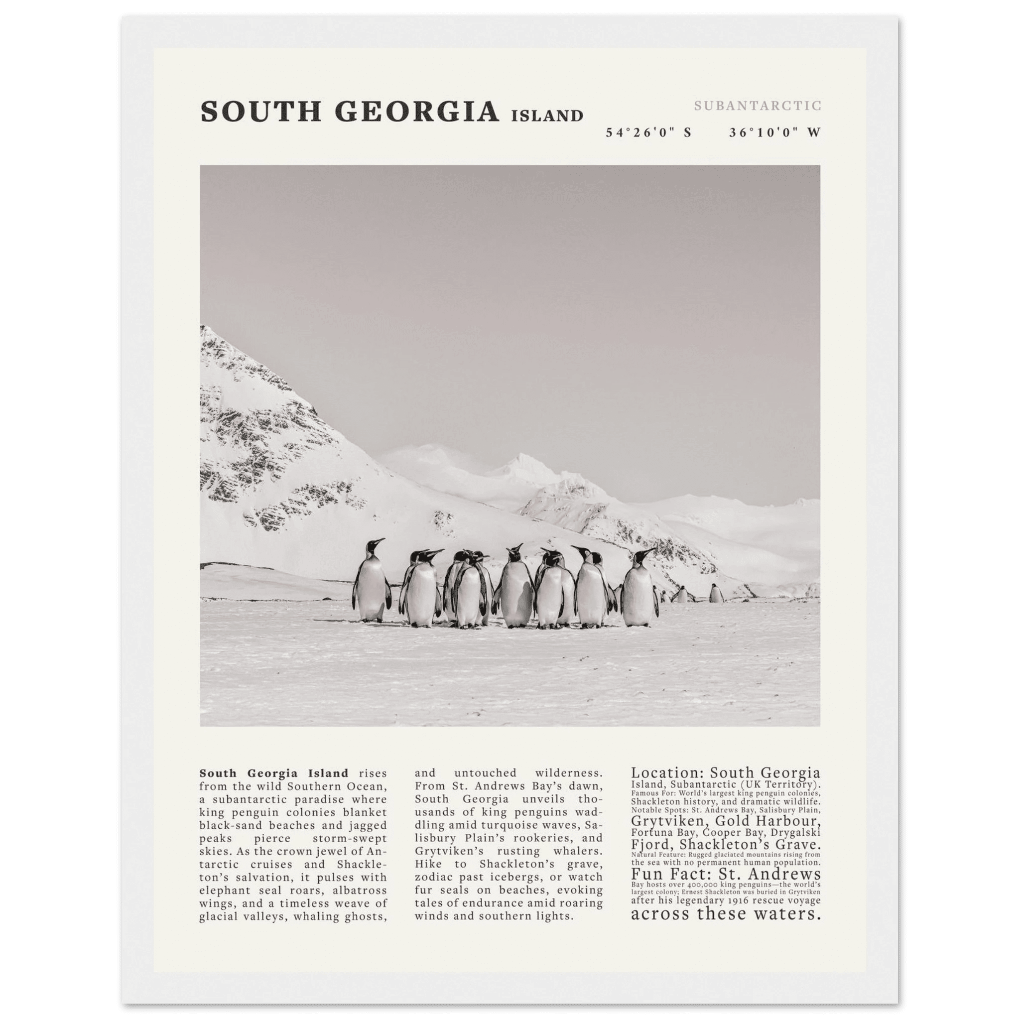 South Georgia Island Black and White Vintage Poster - Evergreen Posters