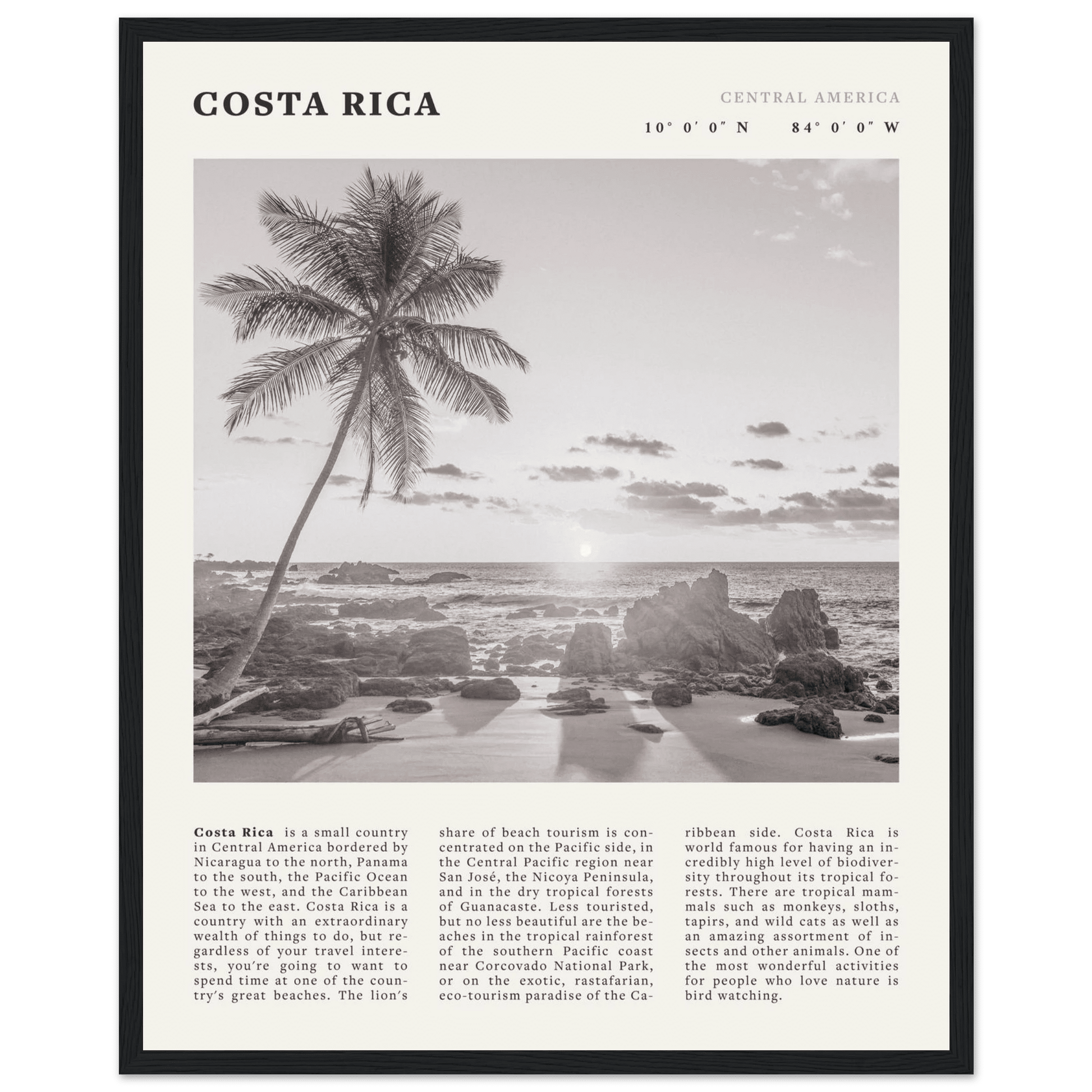 Costa Rica Poster | Black & White Palm Tree Beach Wall Art | Travel Print Decor - Evergreen Posters