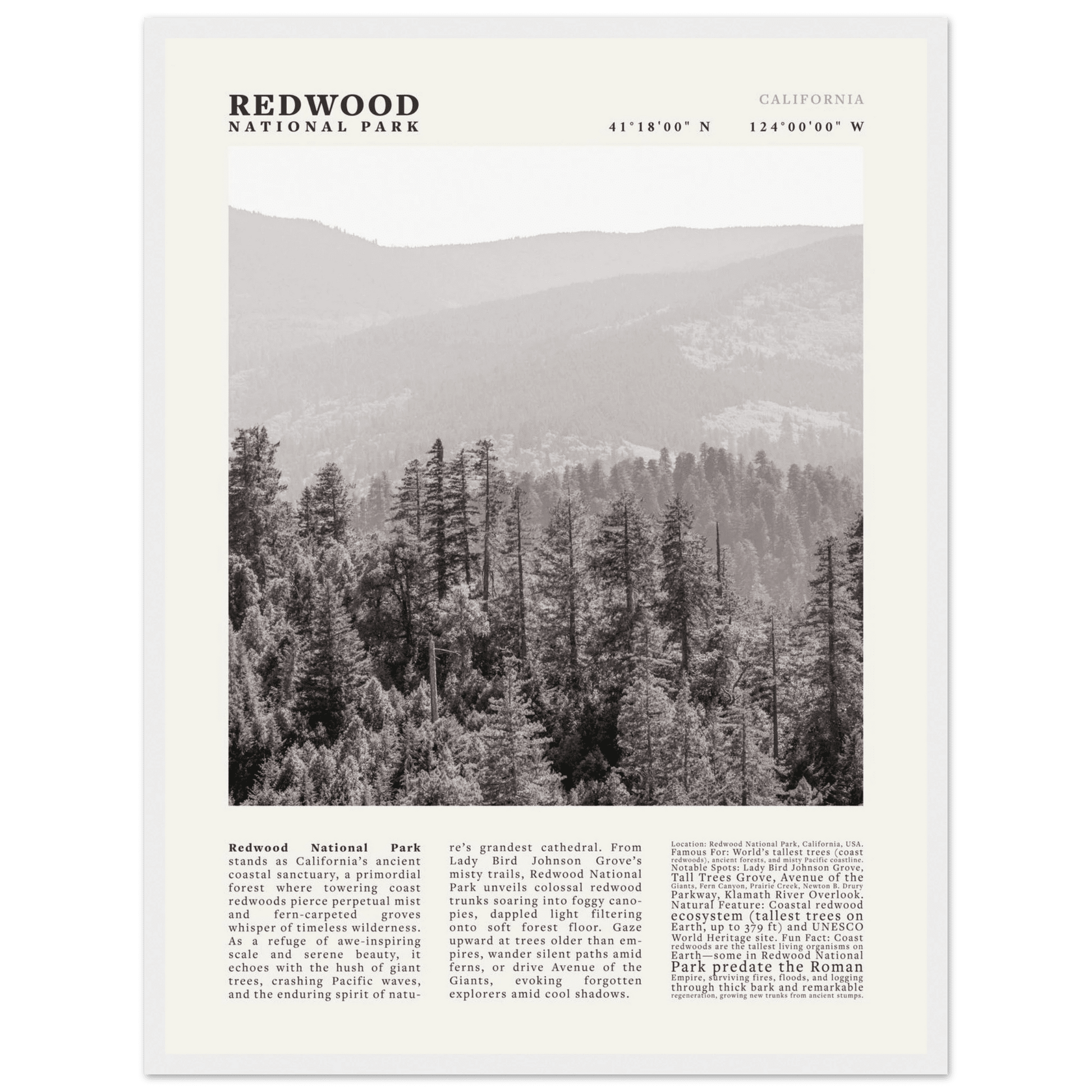 Redwood National Park Poster Black and White – Vintage Foggy Redwood Forest Print - Evergreen Posters