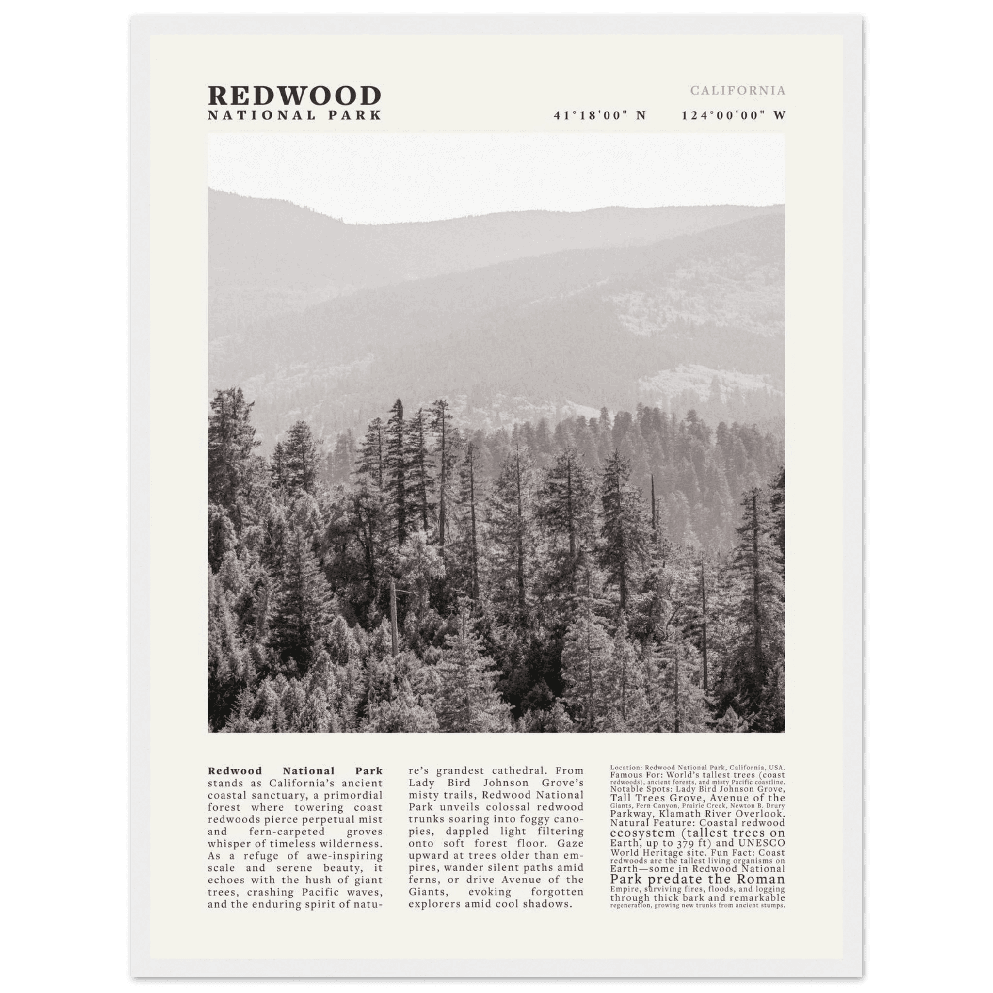 Redwood National Park Poster Black and White – Vintage Foggy Redwood Forest Print - Evergreen Posters