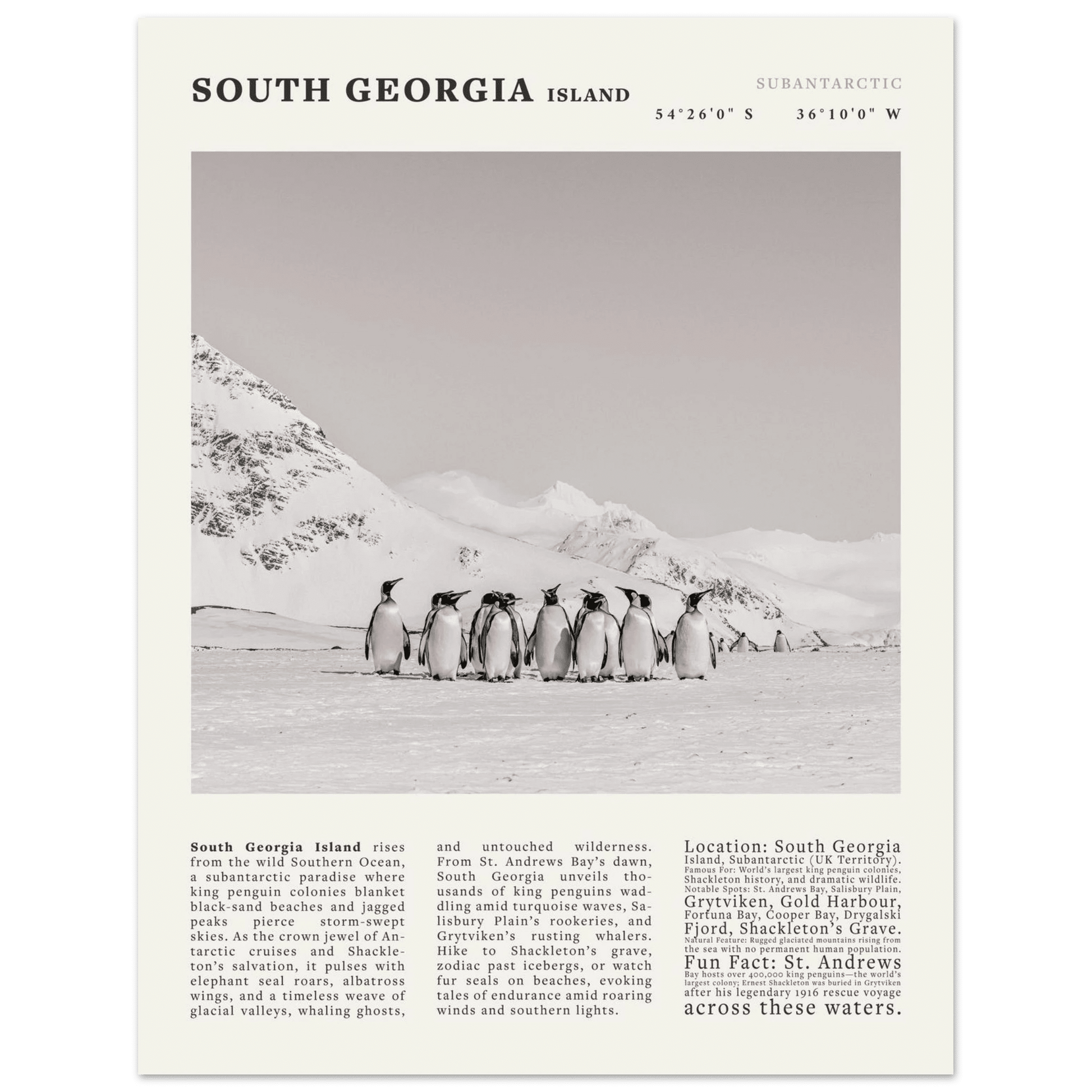 South Georgia Island Black and White Vintage Poster - Evergreen Posters