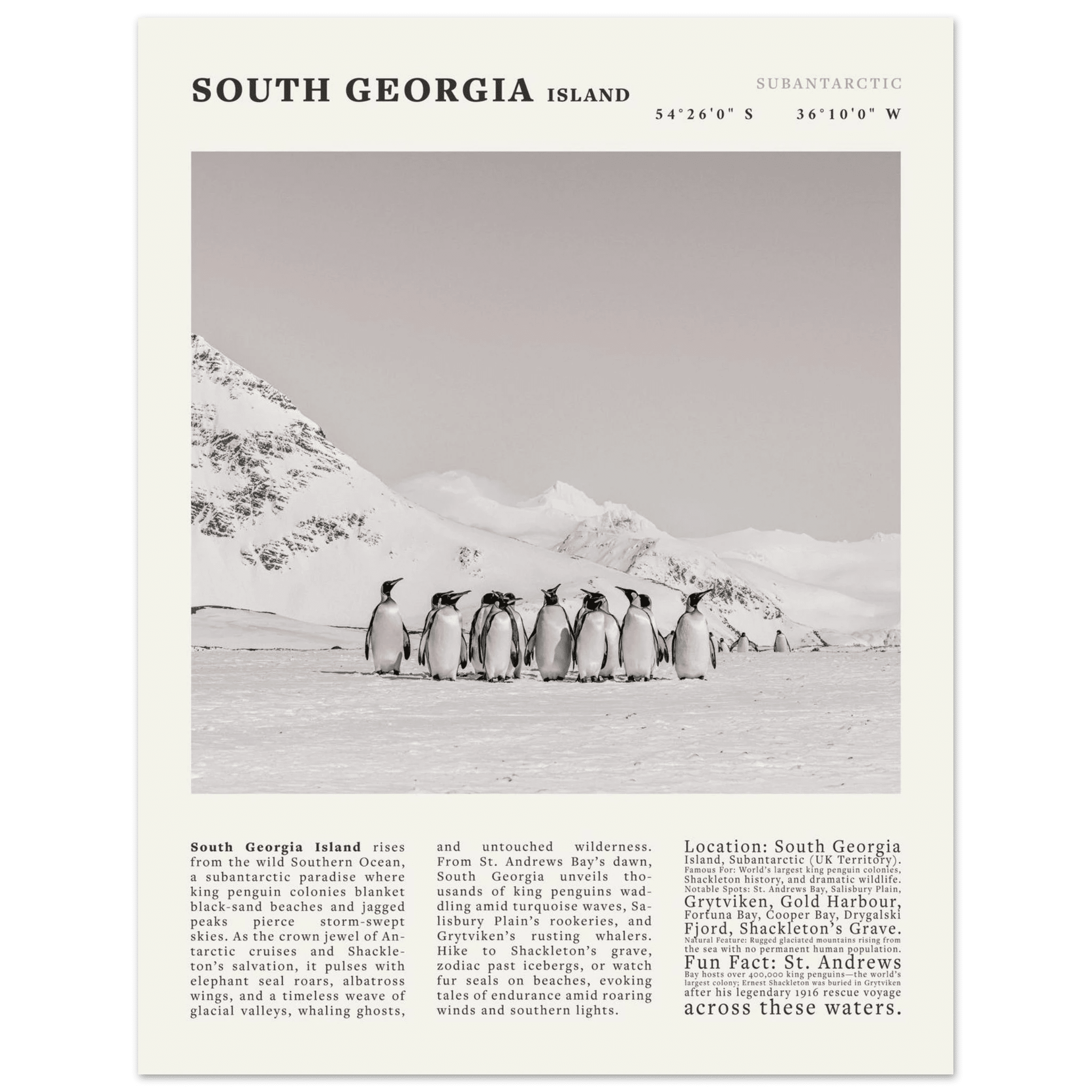 South Georgia Island Black and White Vintage Poster - Evergreen Posters