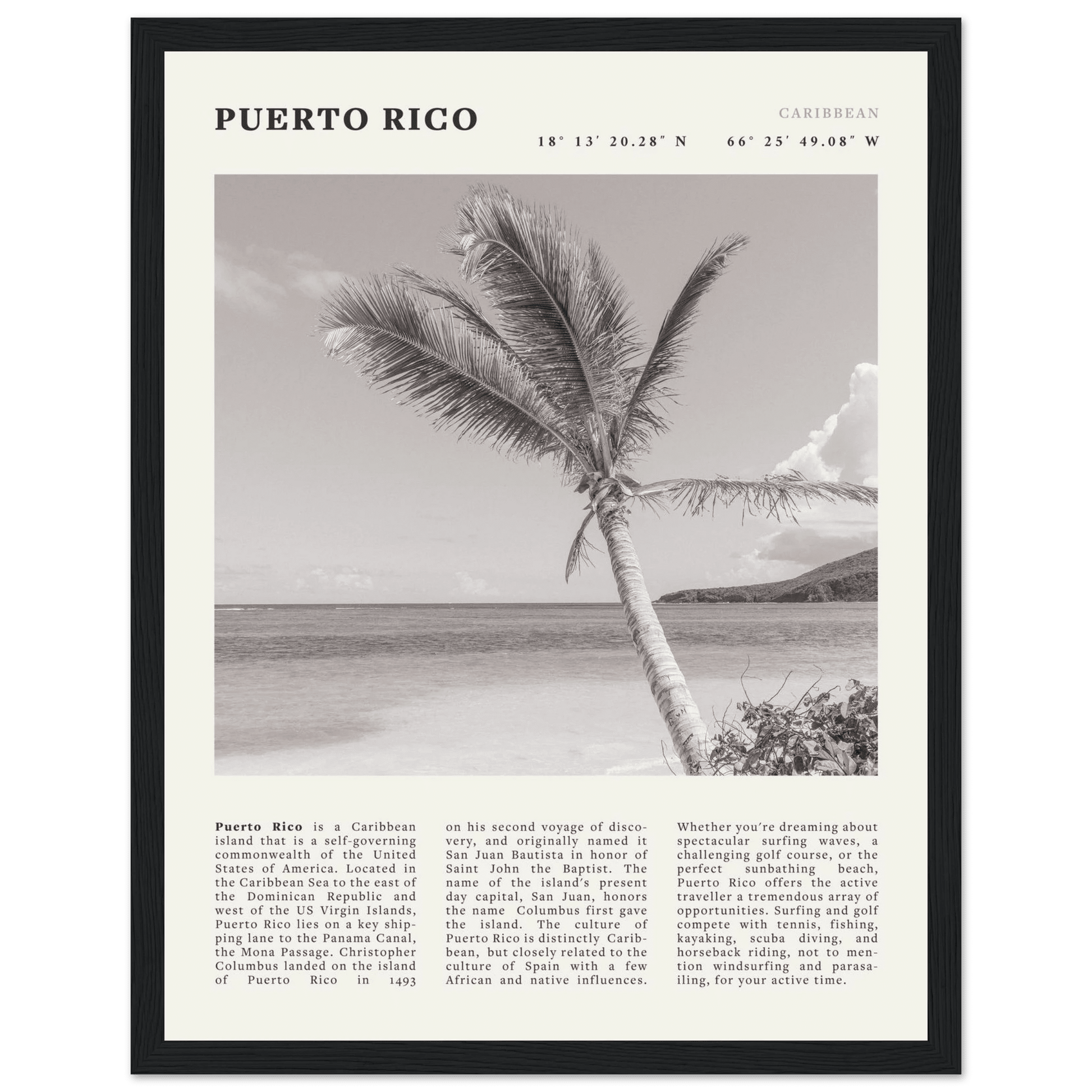 Puerto Rico Poster Black and White – Vintage Caribbean Palm Beach Print (Digital & Printed Options) - Evergreen Posters
