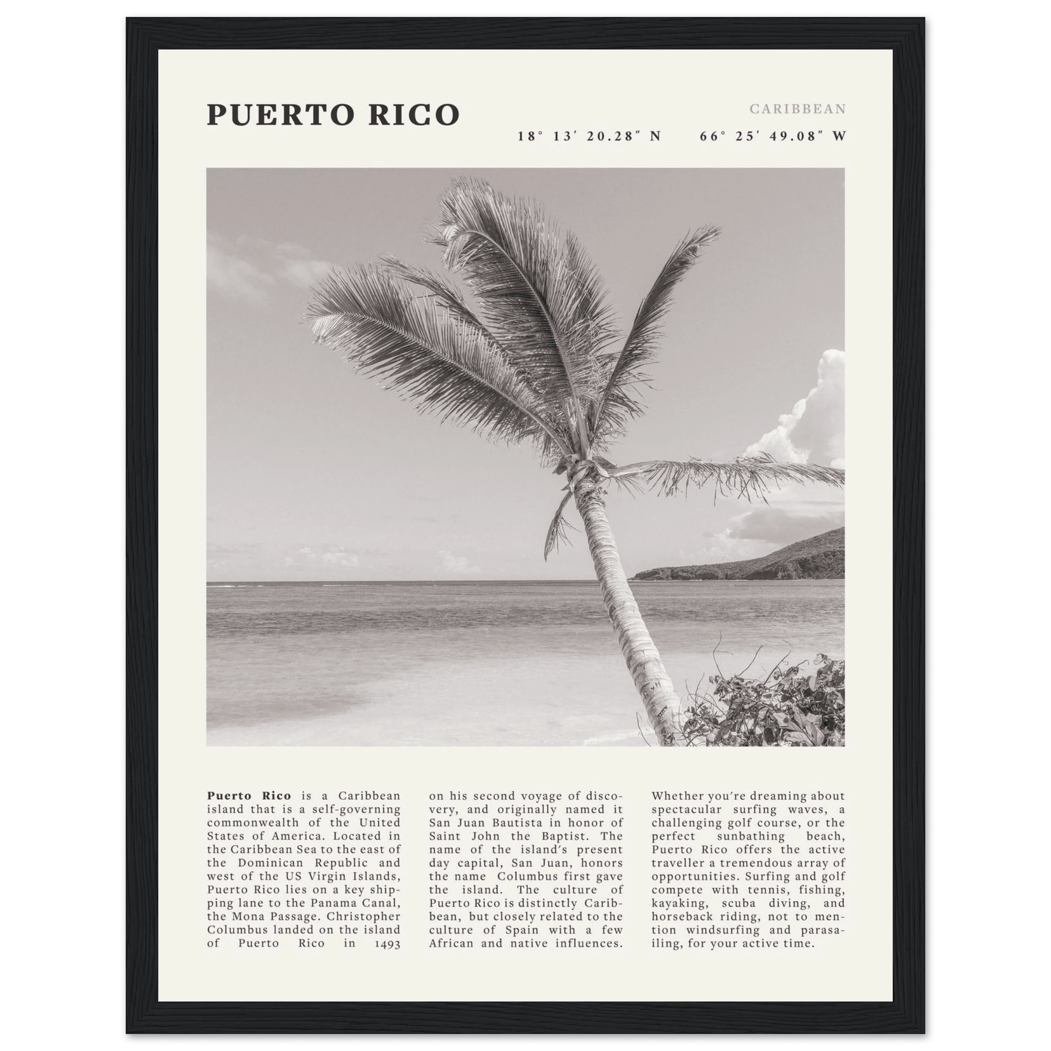 Puerto Rico Poster Black and White – Vintage Caribbean Palm Beach Print (Digital & Printed Options) - Evergreen Posters
