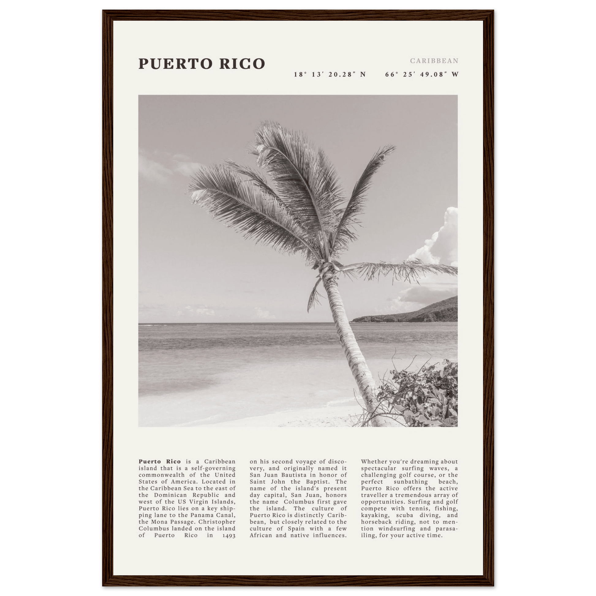 Puerto Rico Poster Black and White – Vintage Caribbean Palm Beach Print (Digital & Printed Options) - Evergreen Posters