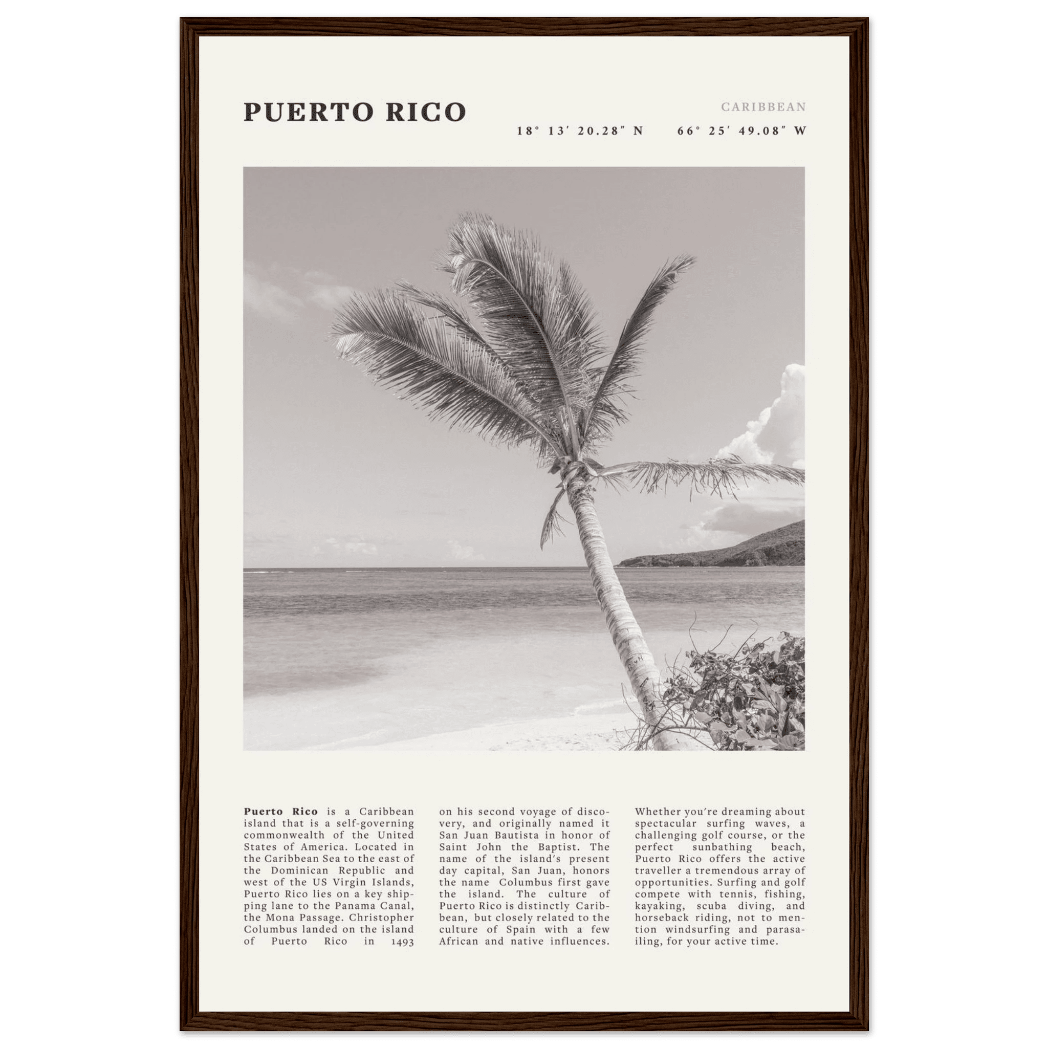 Puerto Rico Poster Black and White – Vintage Caribbean Palm Beach Print (Digital & Printed Options) - Evergreen Posters