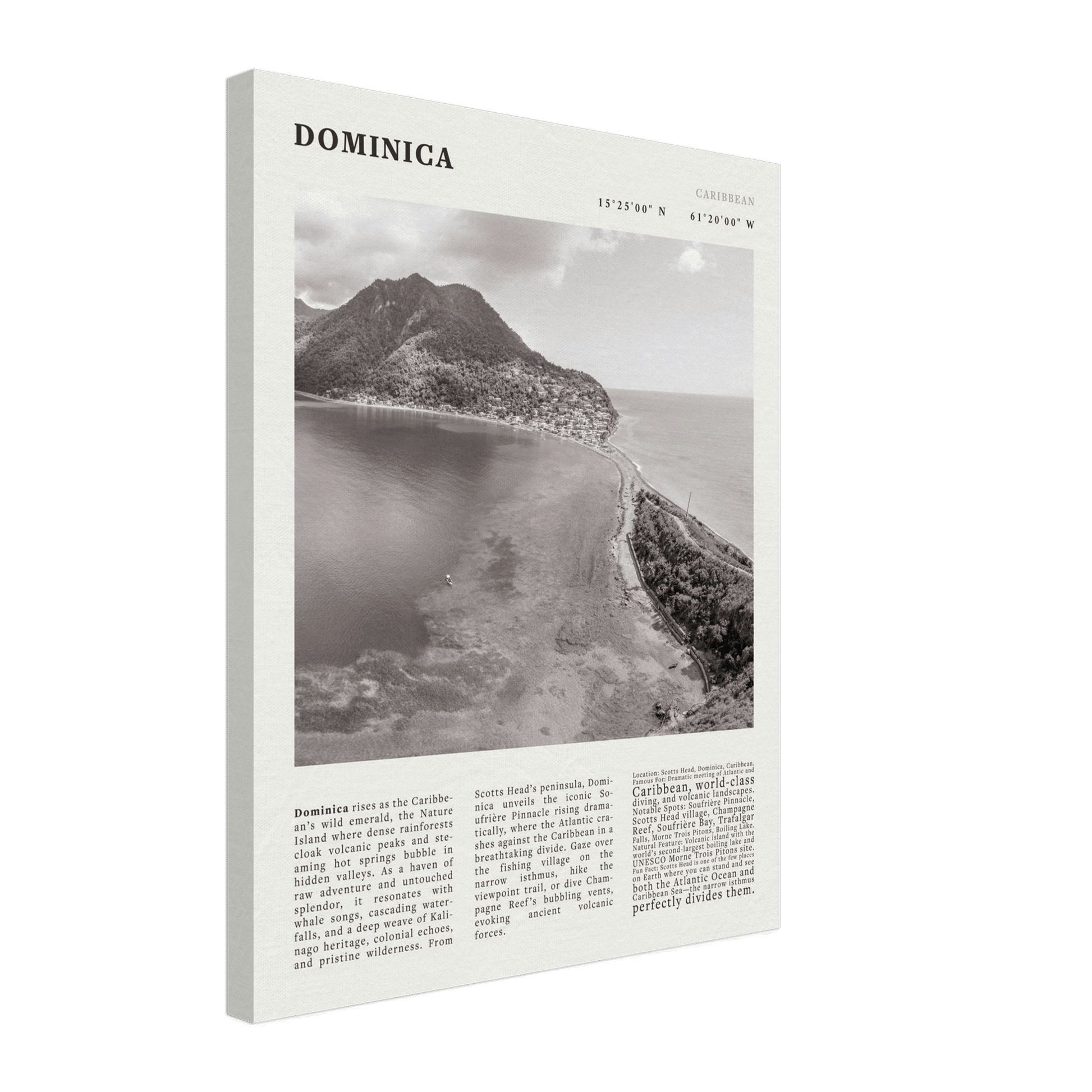 Dominica Poster Black and White – Vintage Caribbean Rainforest Island Print (Digital & Printed Options) - Evergreen Posters