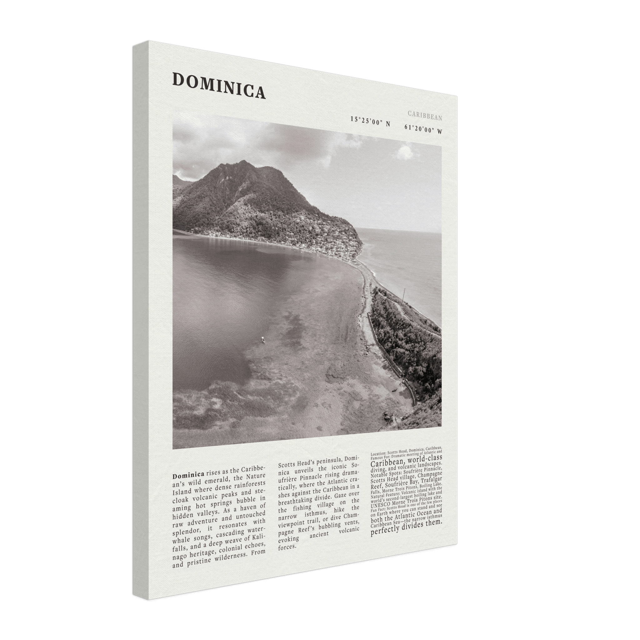 Dominica Poster Black and White – Vintage Caribbean Rainforest Island Print (Digital & Printed Options) - Evergreen Posters