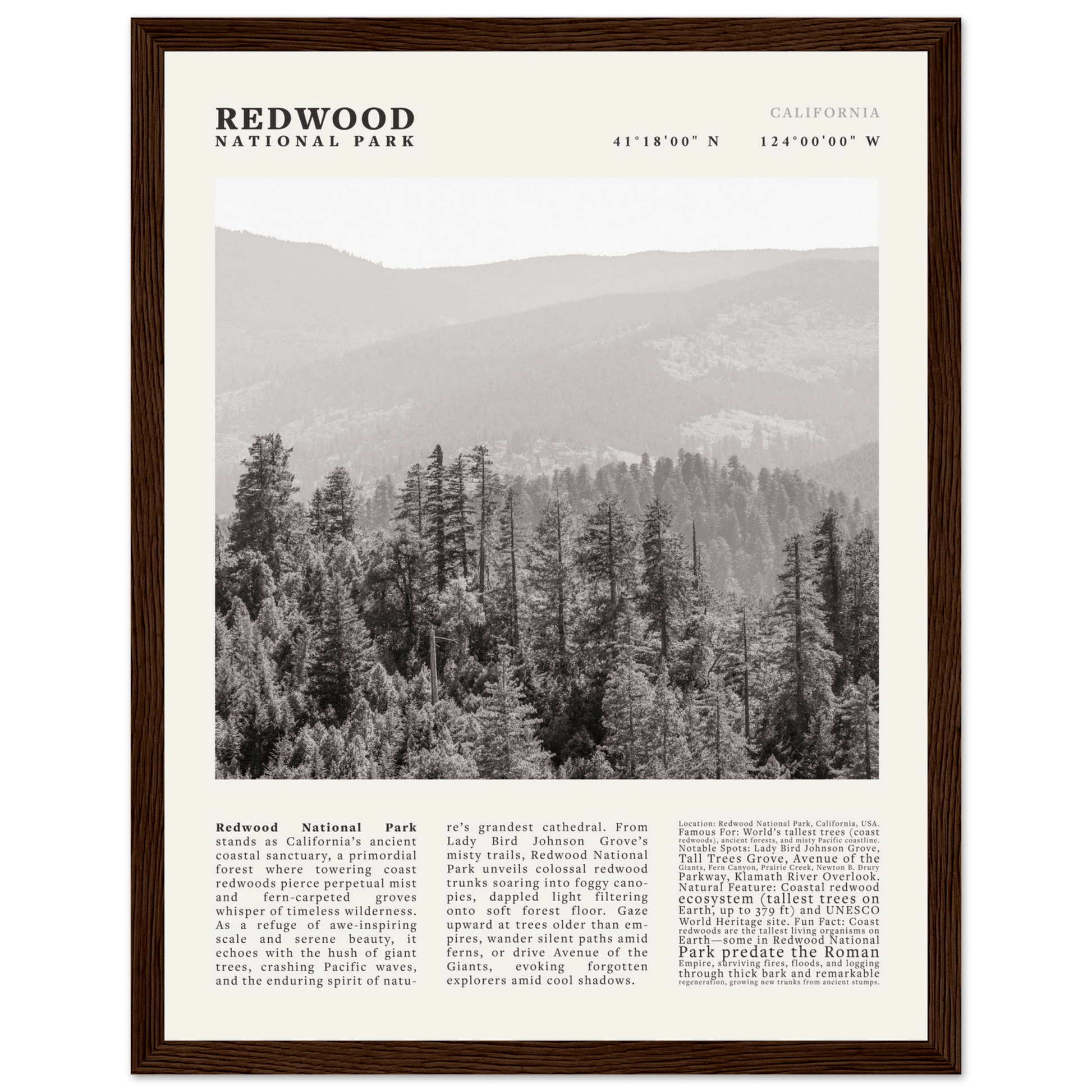 Redwood National Park Poster Black and White – Vintage Foggy Redwood Forest Print - Evergreen Posters
