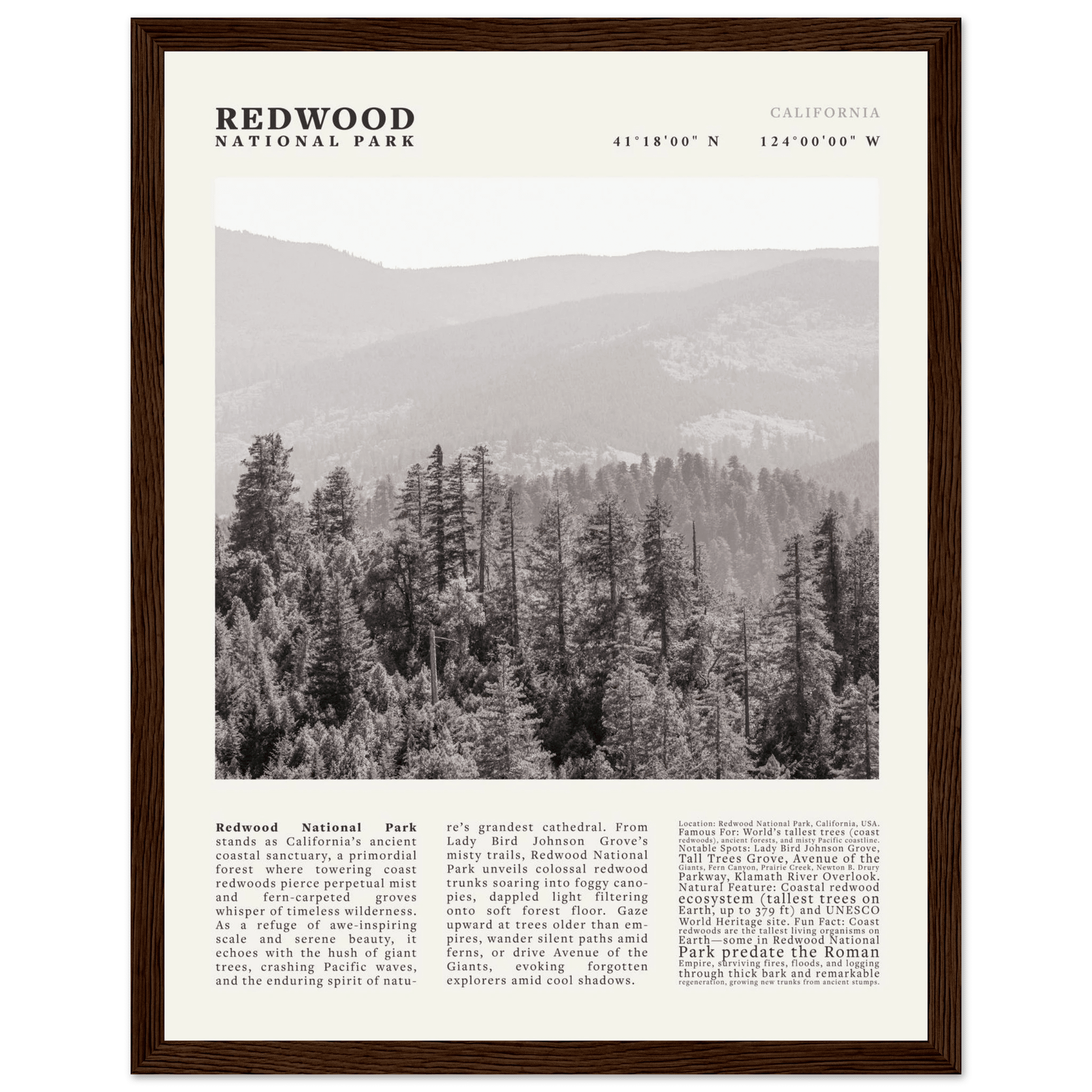 Redwood National Park Poster Black and White – Vintage Foggy Redwood Forest Print - Evergreen Posters