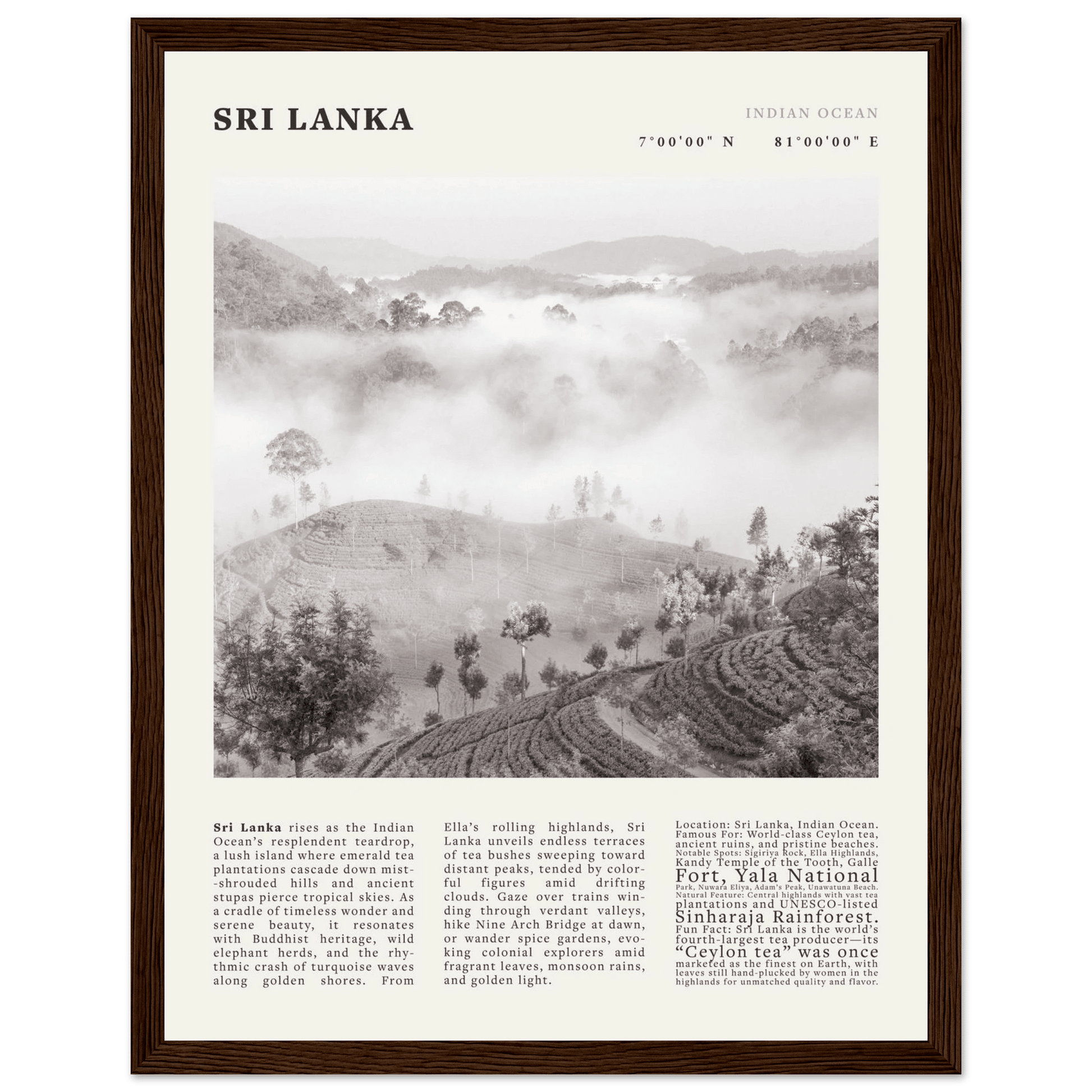 Sri Lanka Poster Black and White – Vintage Ceylon Tea Plantation Print (Digital & Printed Options) - Evergreen Posters