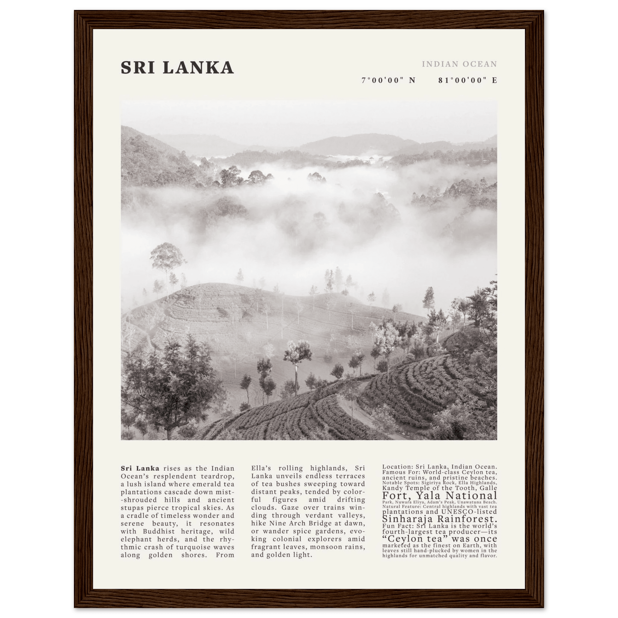 Sri Lanka Poster Black and White – Vintage Ceylon Tea Plantation Print (Digital & Printed Options) - Evergreen Posters