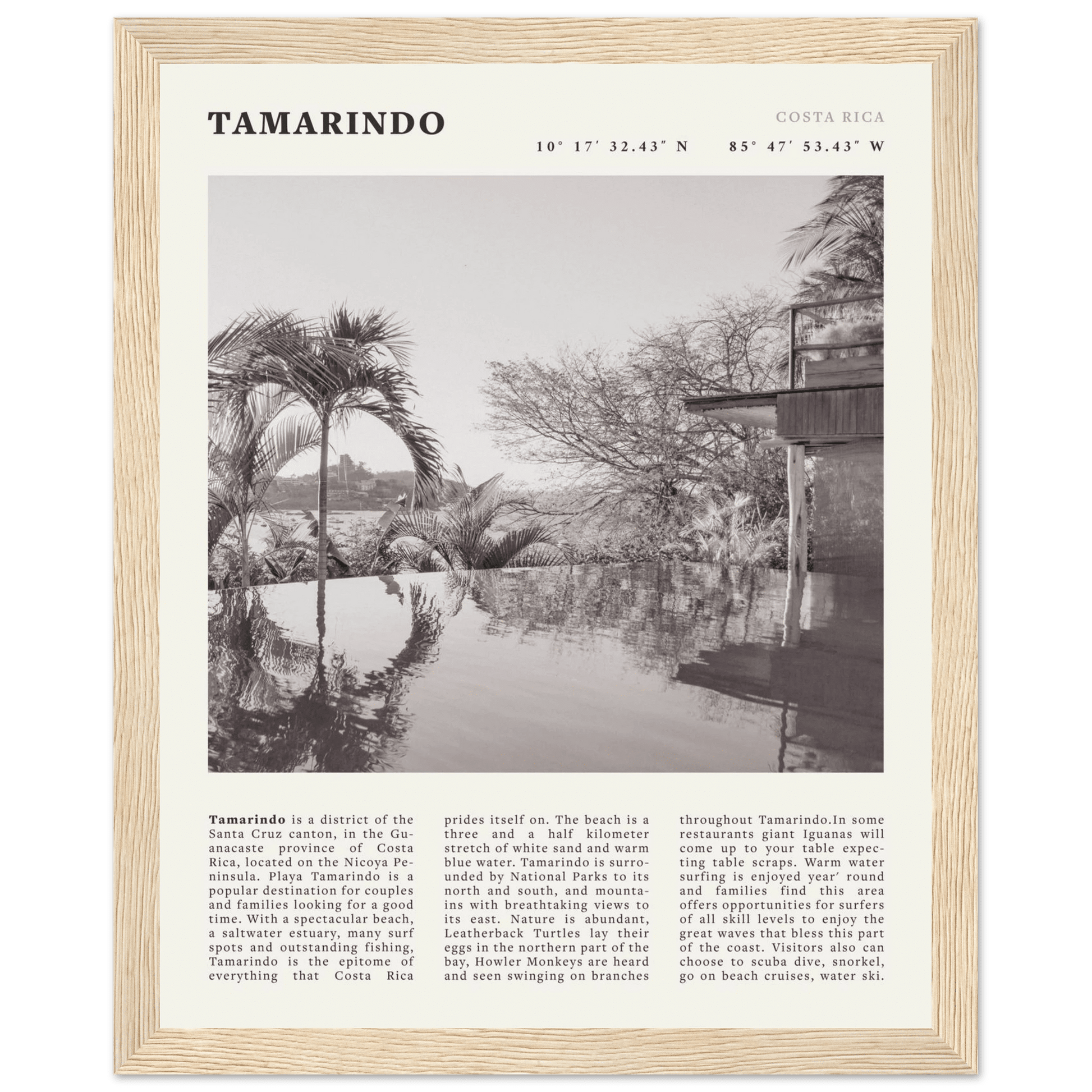 Tamarindo Poster | Black & White Costa Rica Beach Wall Art | Surf Travel Print - Evergreen Posters