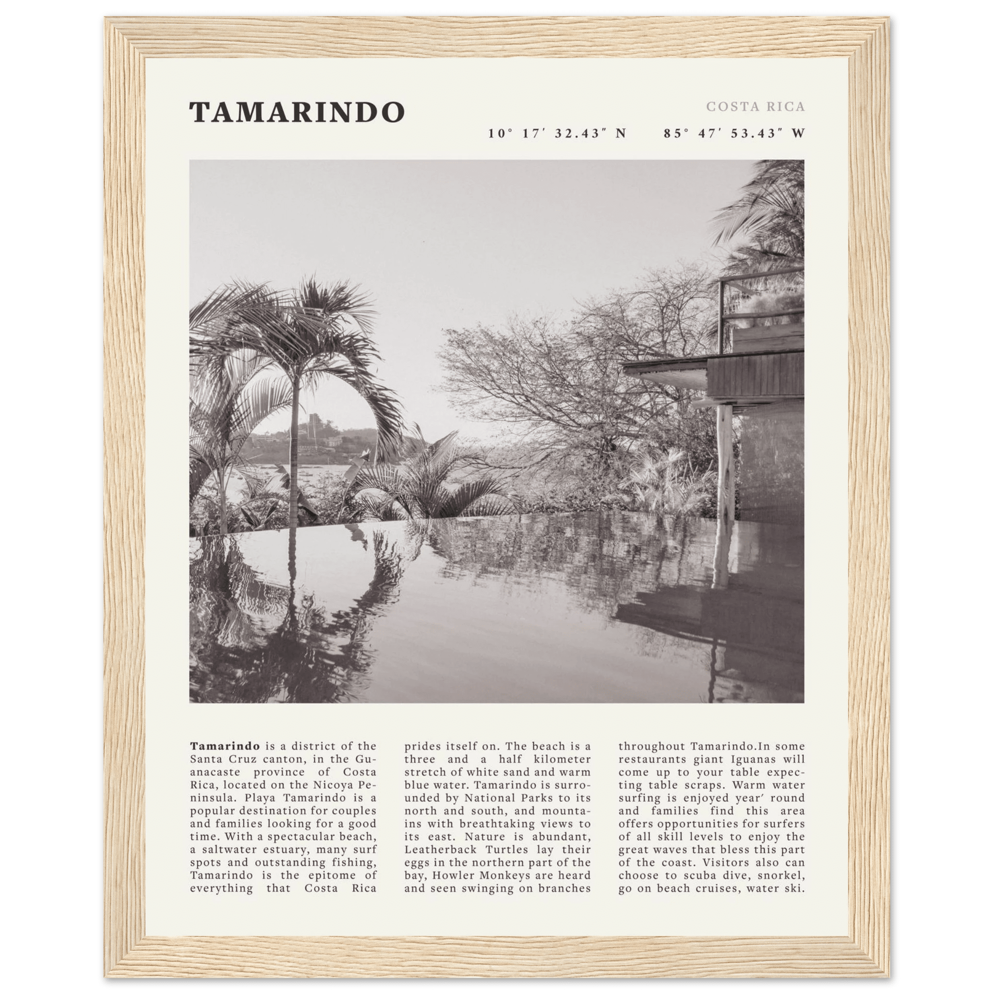 Tamarindo Poster | Black & White Costa Rica Beach Wall Art | Surf Travel Print - Evergreen Posters