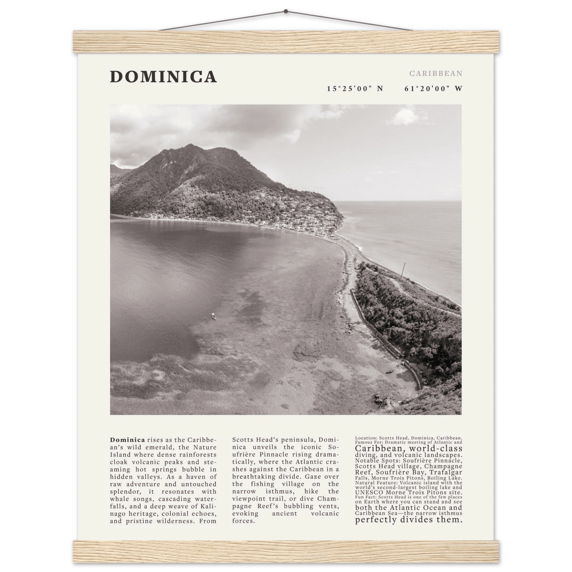 Dominica Poster Black and White – Vintage Caribbean Rainforest Island Print (Digital & Printed Options) - Evergreen Posters