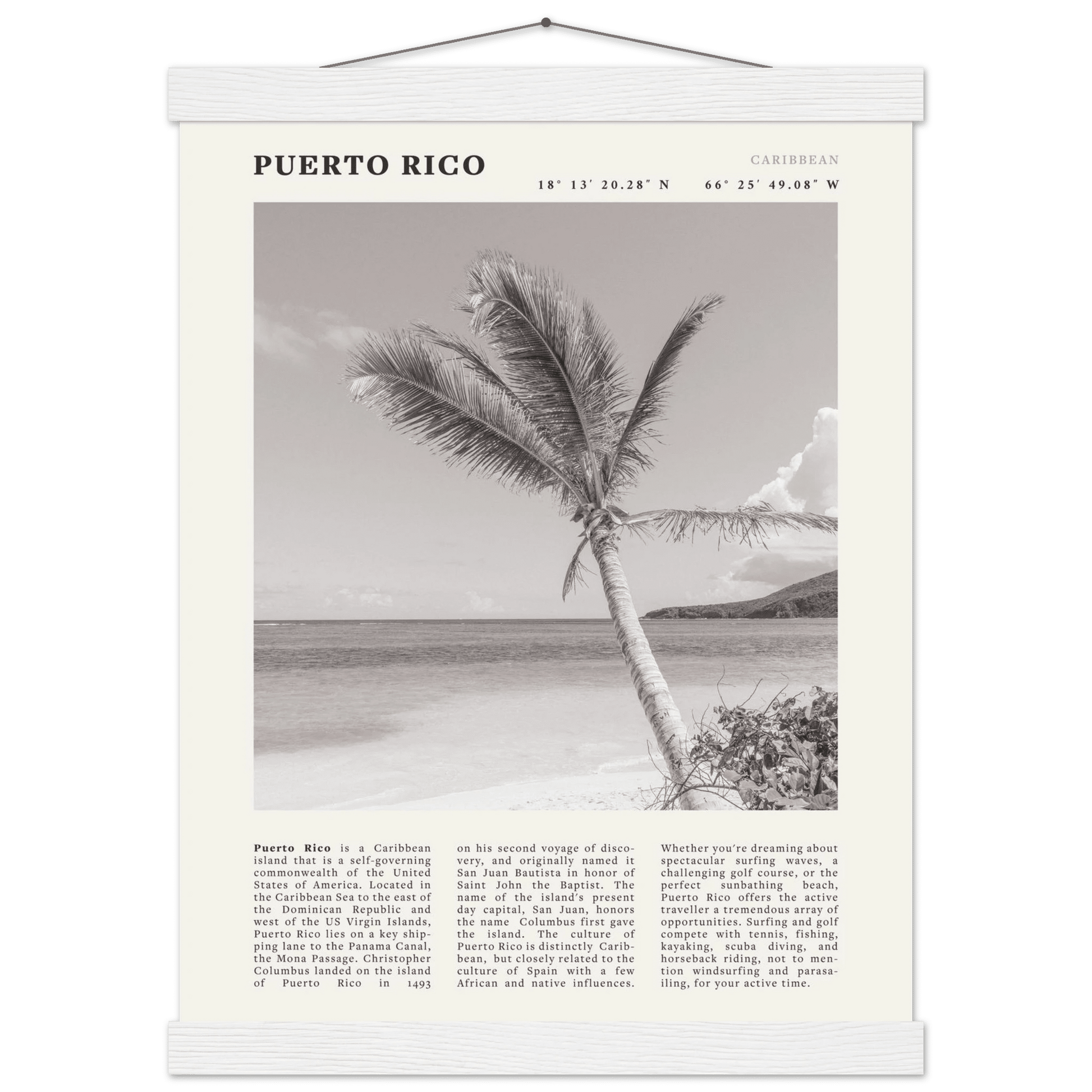 Puerto Rico Poster Black and White – Vintage Caribbean Palm Beach Print (Digital & Printed Options) - Evergreen Posters