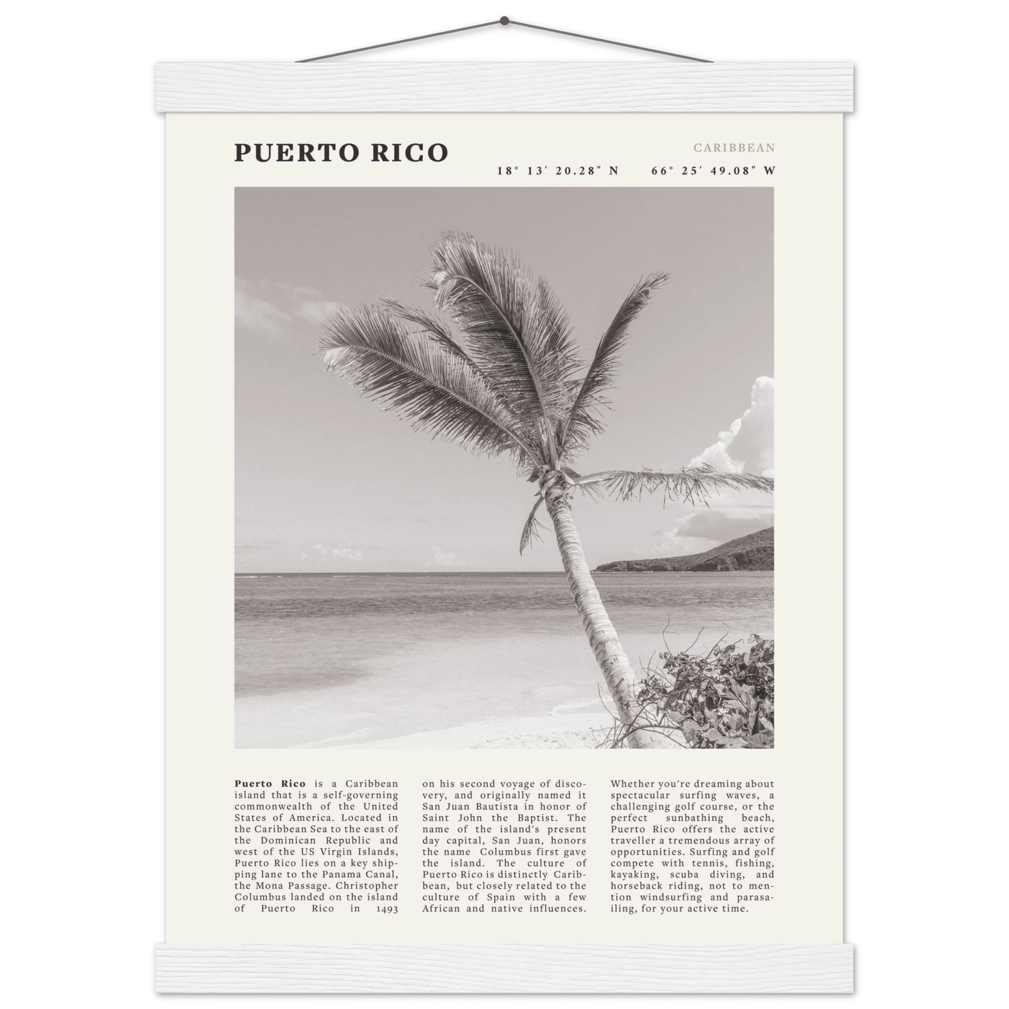 Puerto Rico Poster Black and White – Vintage Caribbean Palm Beach Print (Digital & Printed Options) - Evergreen Posters