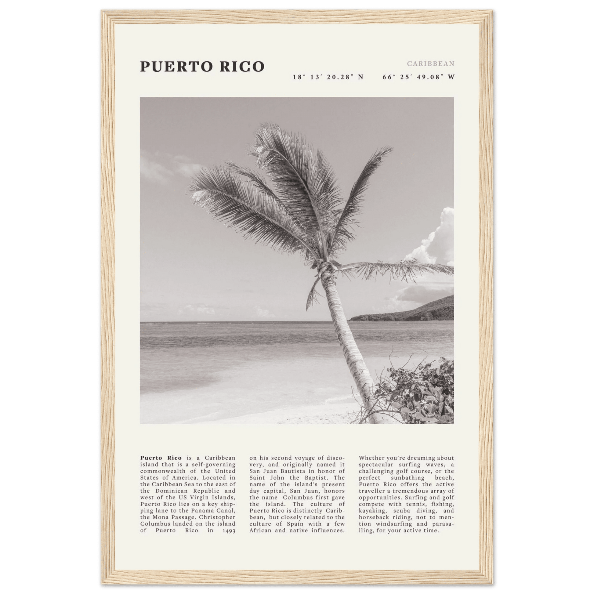 Puerto Rico Poster Black and White – Vintage Caribbean Palm Beach Print (Digital & Printed Options) - Evergreen Posters