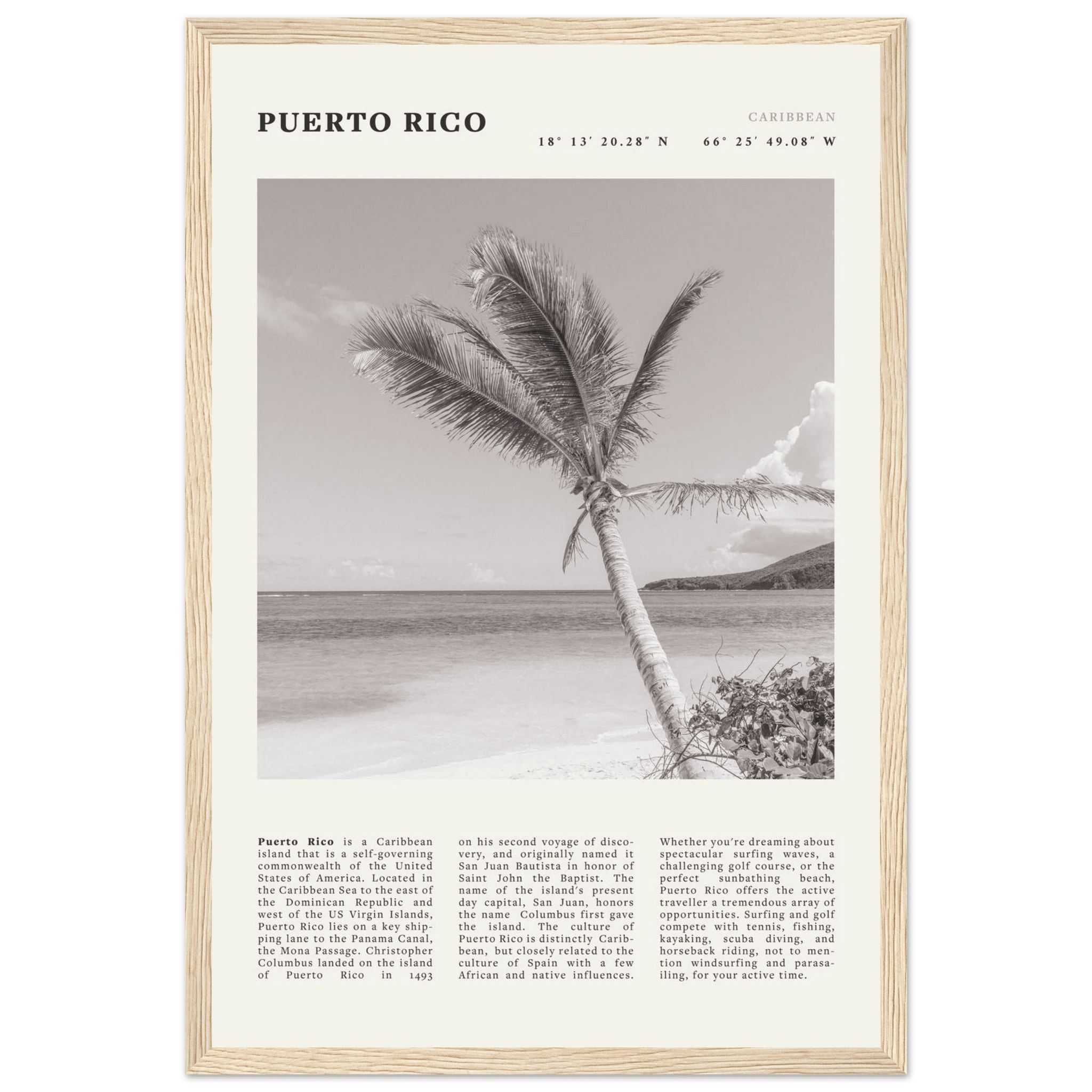 Puerto Rico Poster Black and White – Vintage Caribbean Palm Beach Print (Digital & Printed Options) - Evergreen Posters