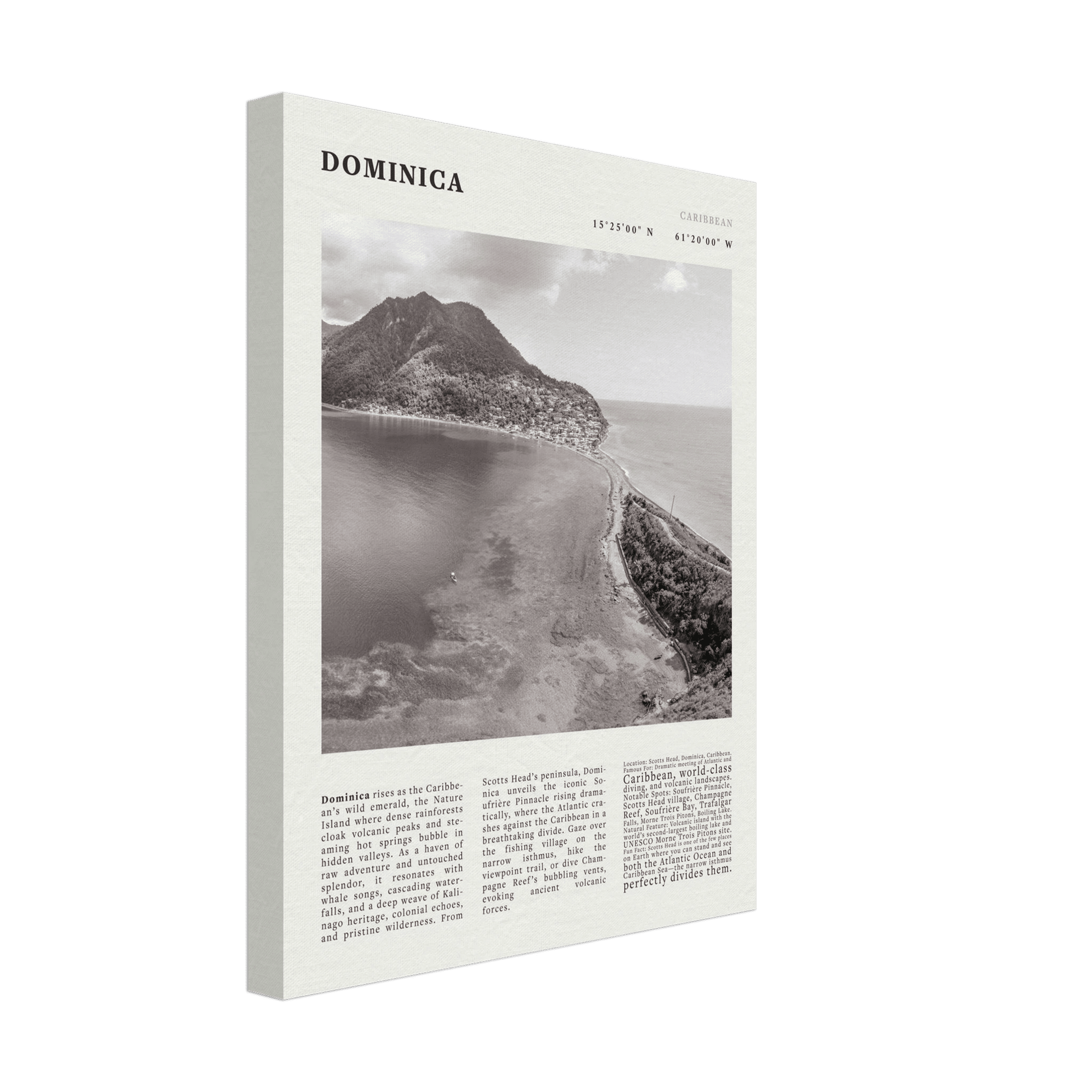 Dominica Poster Black and White – Vintage Caribbean Rainforest Island Print (Digital & Printed Options) - Evergreen Posters