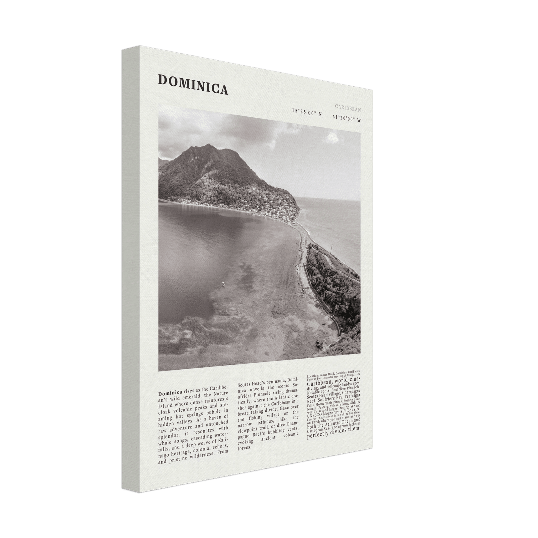 Dominica Poster Black and White – Vintage Caribbean Rainforest Island Print (Digital & Printed Options) - Evergreen Posters