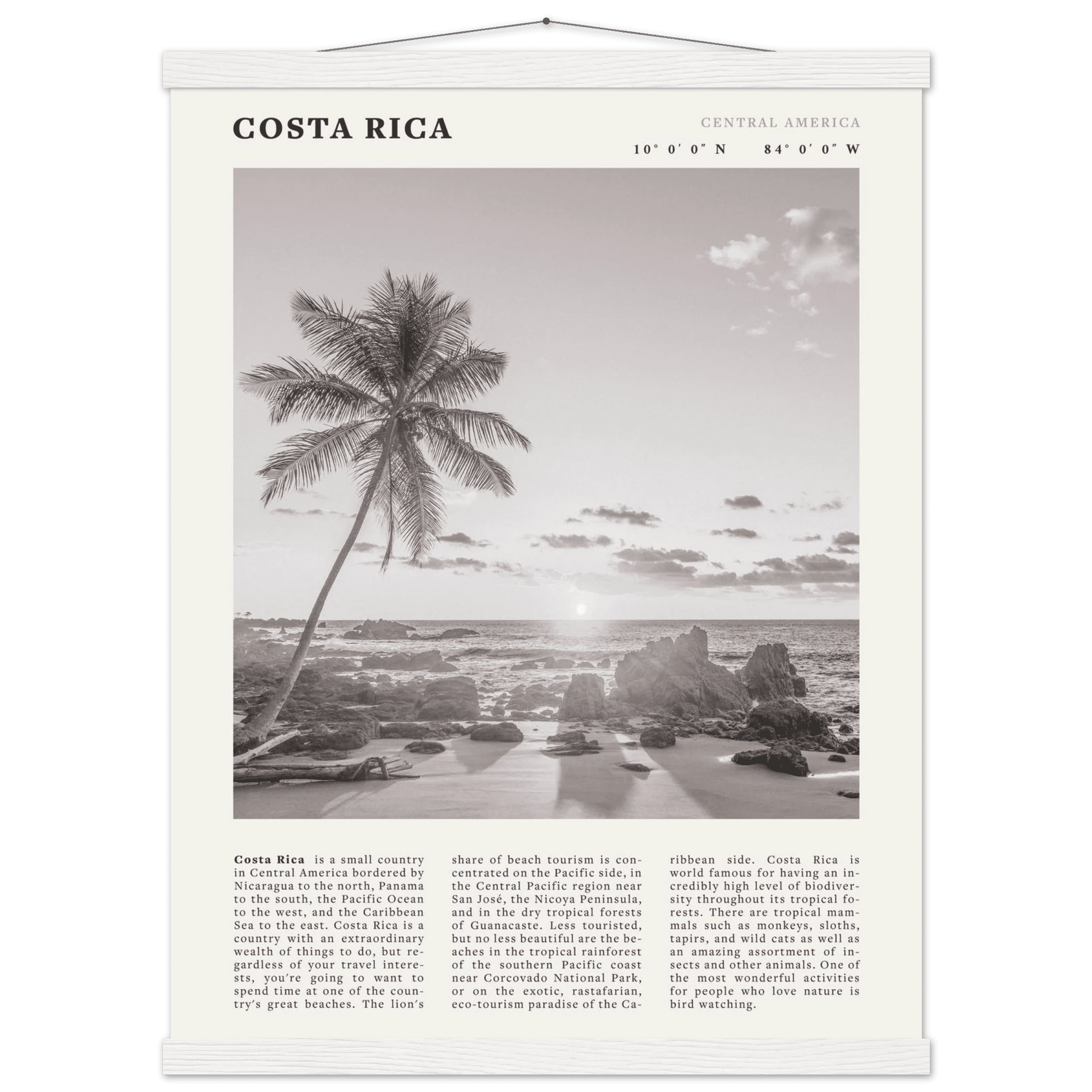 Costa Rica Poster | Black & White Palm Tree Beach Wall Art | Travel Print Decor - Evergreen Posters