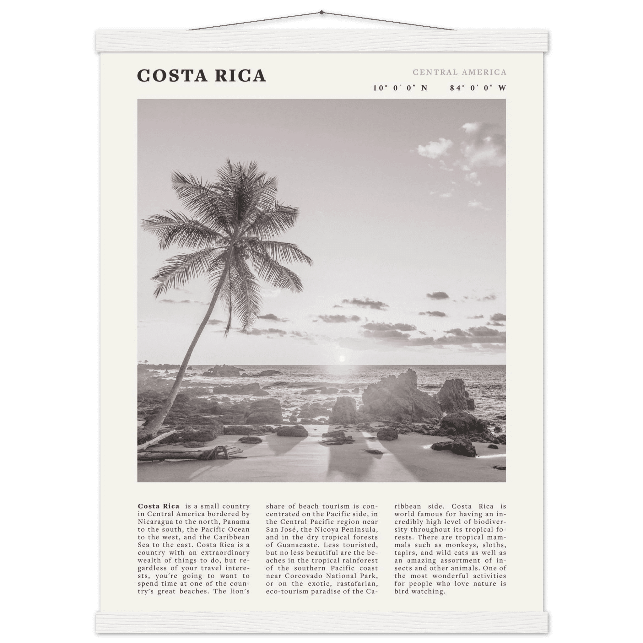 Costa Rica Poster | Black & White Palm Tree Beach Wall Art | Travel Print Decor - Evergreen Posters
